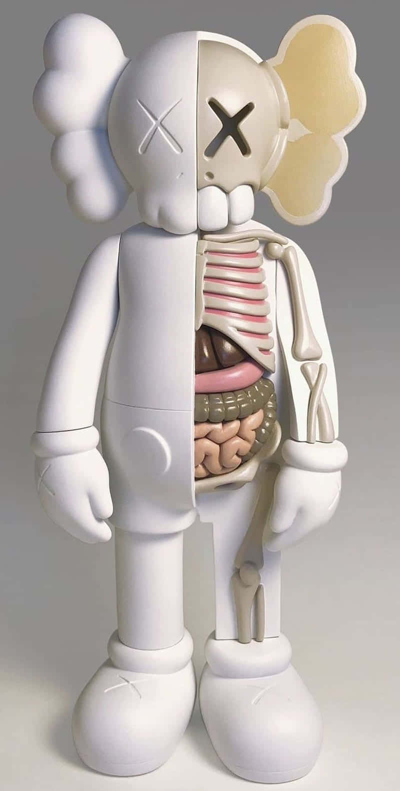 Cool Kaws 桌布 壁紙 — 一個白色KAWS人偶，暴露內部器官和骨骼結構，背景為純灰色。