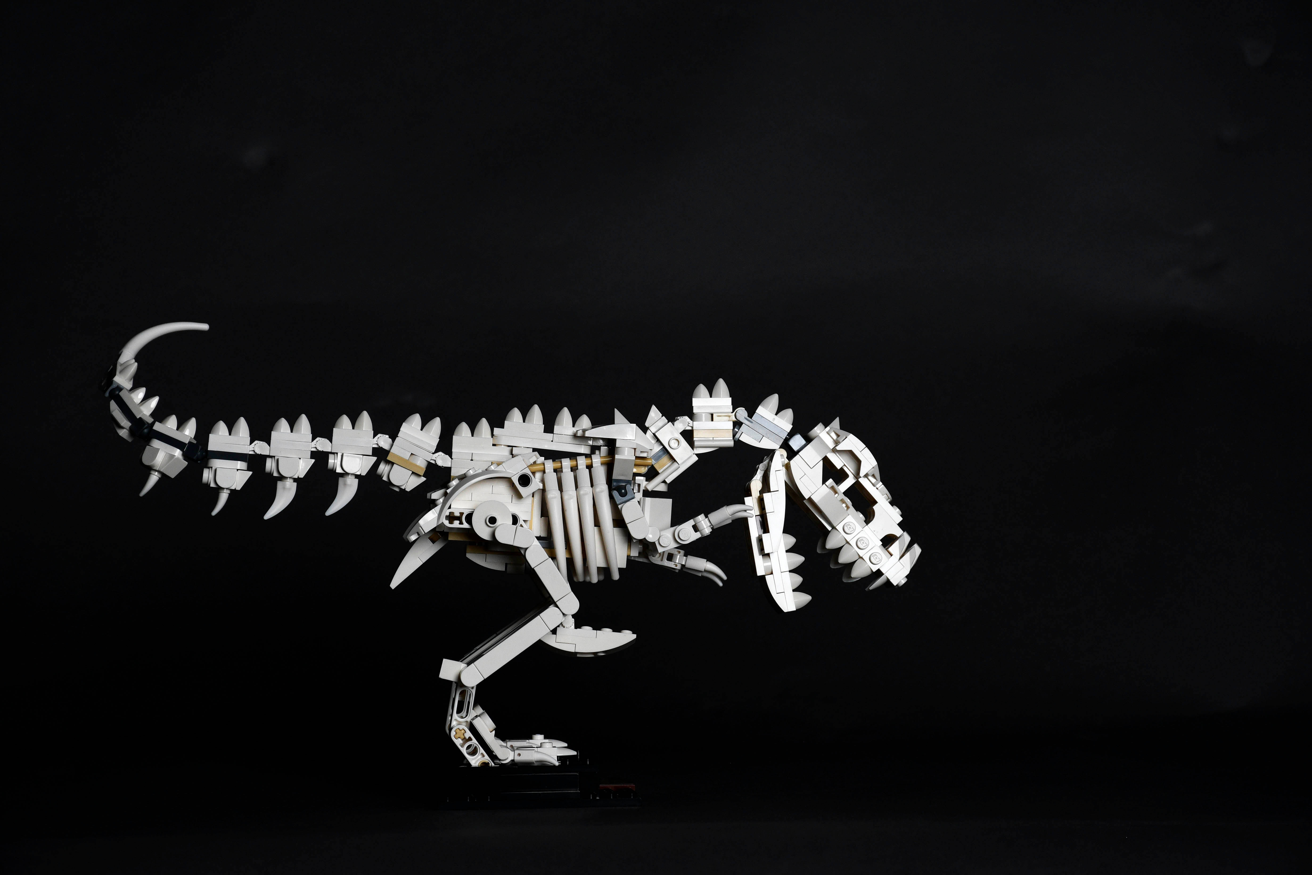 樂高 桌布 壁紙 — 一個白色LEGO T-Rex骨架模型在純黑背景上動態擺姿勢。