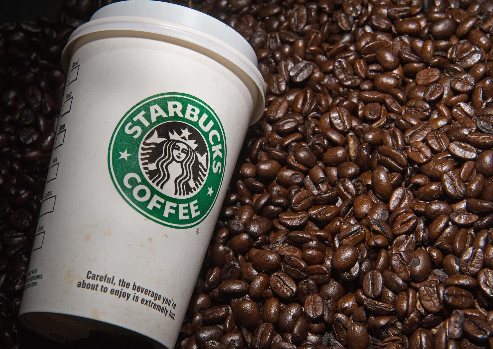 星巴克 桌布 壁紙 — 一個白色Starbucks咖啡杯放在一層濃郁的棕色烘焙咖啡豆上。