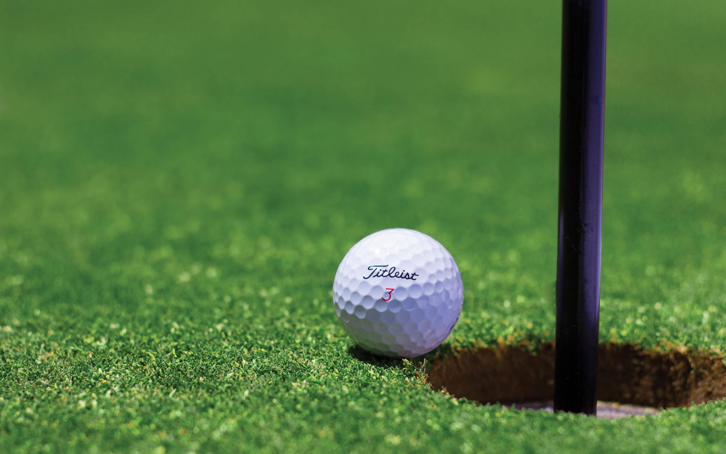 Golfing 桌布 壁紙 — 一個白色Titleist高爾夫球放在充滿活力的綠色草地上，旁邊是靠近高爾夫球洞的深色旗桿。