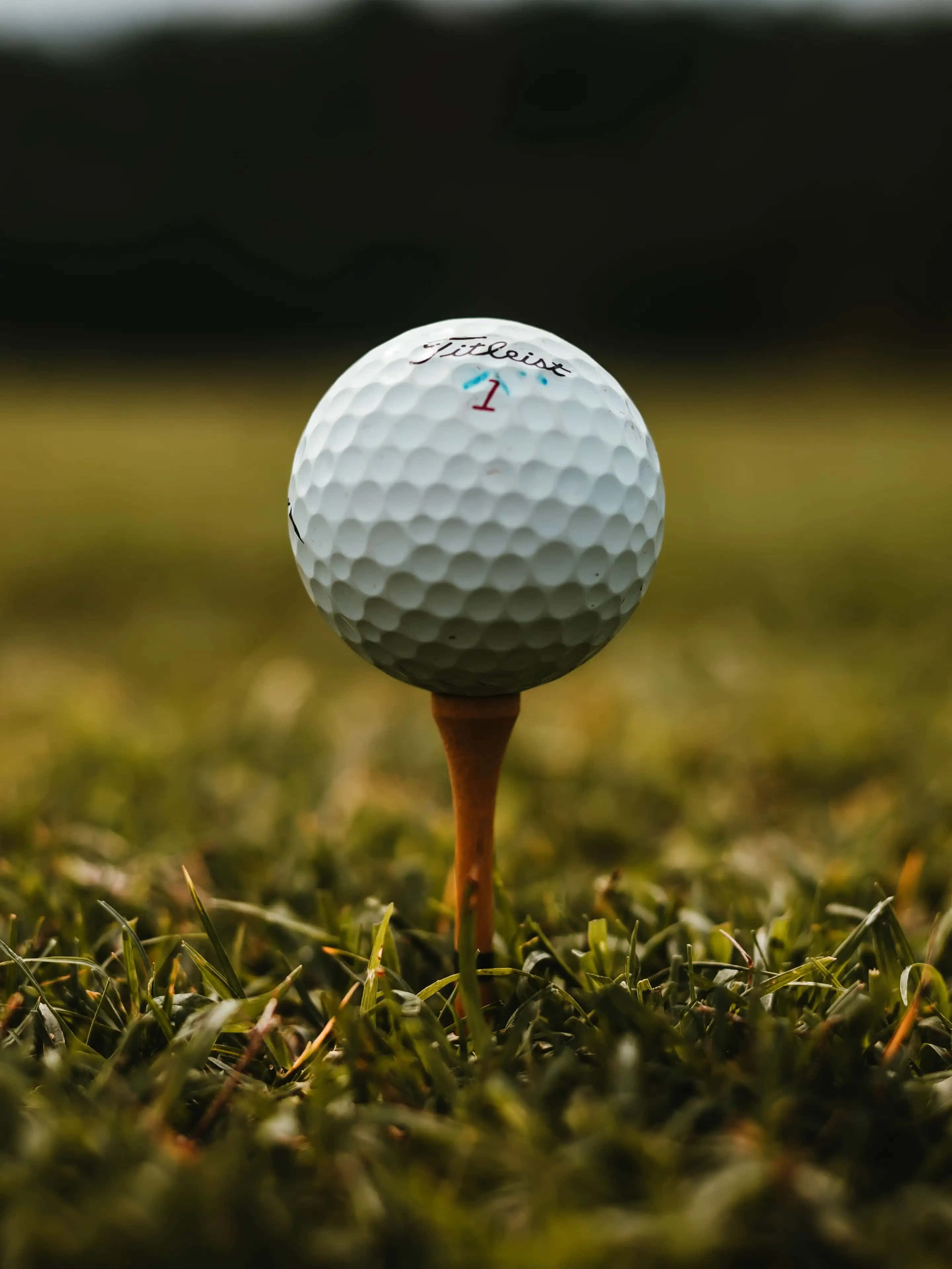 高爾夫 桌布 壁紙 — 一個白色Titleist高爾夫球，上面有紅色數字1，放在翠綠草地上的木製球座上。