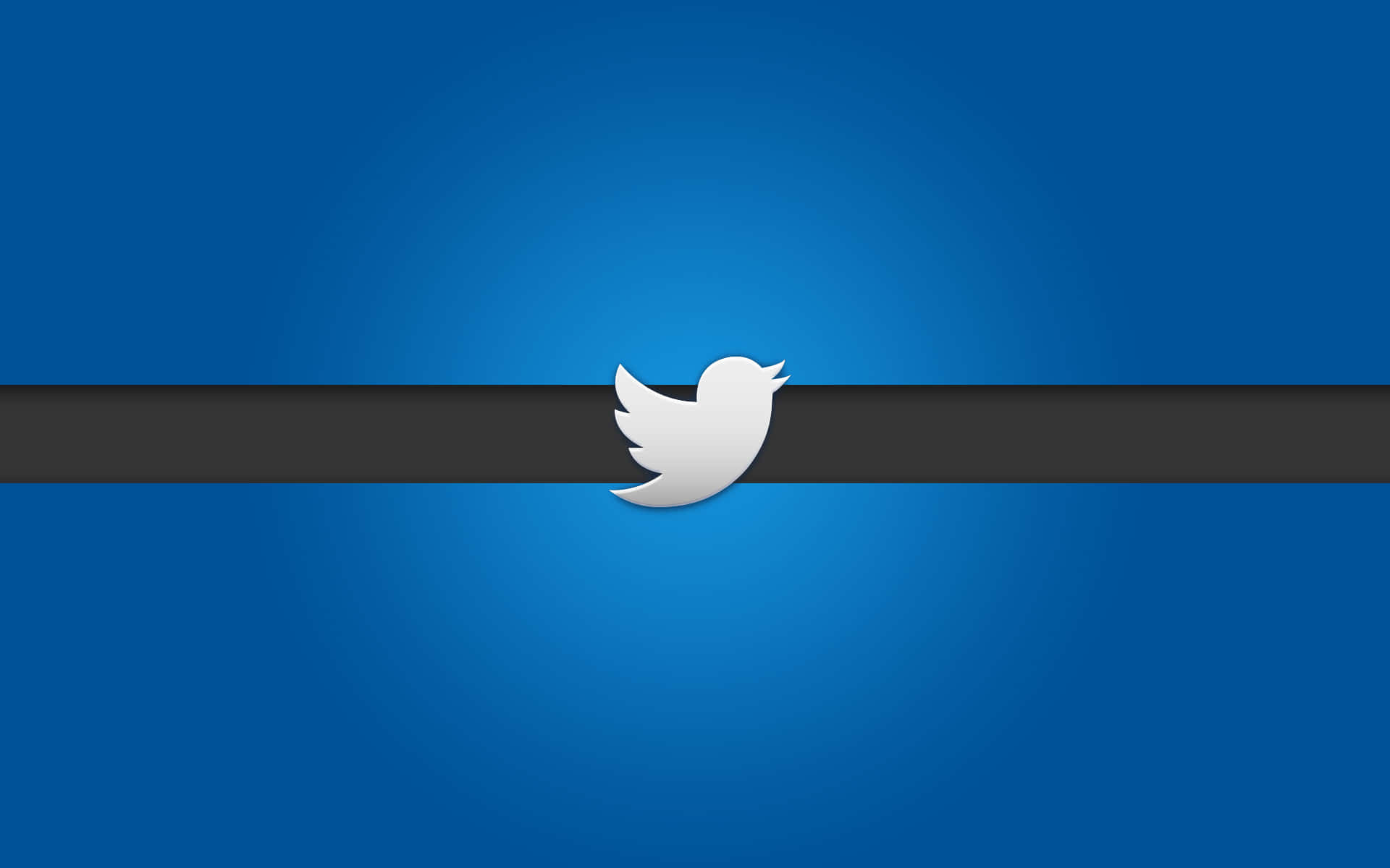 Twitter 桌布 壁紙 — 一個白色Twitter鳥標誌居中於黑色水平條上，背景為漸變藍色。
