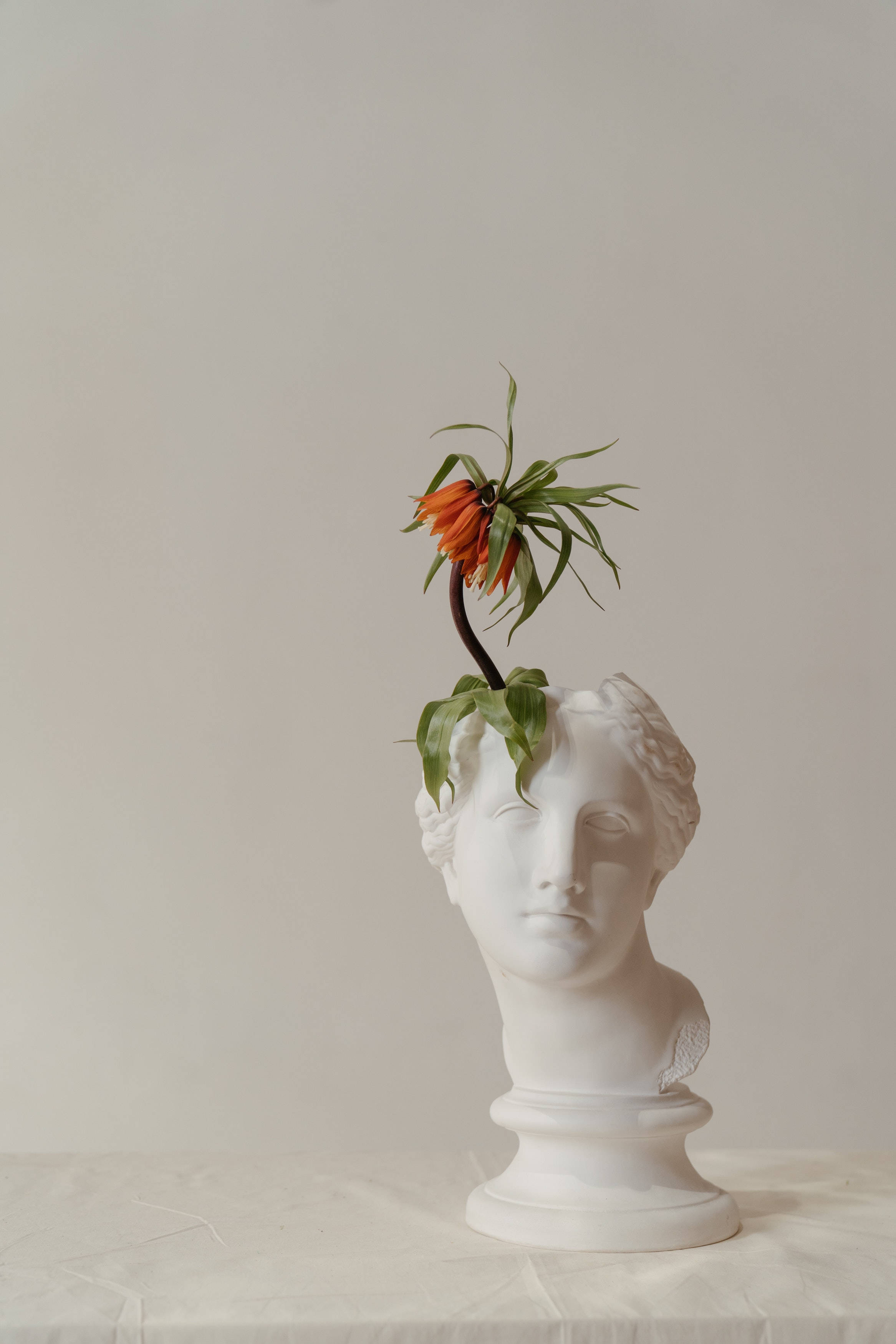 Sculpture 桌布 壁紙 — 一個白色古典大理石半身像，額頭上長出鮮豔的橙色花朵和綠色葉子，背景為中性色調。