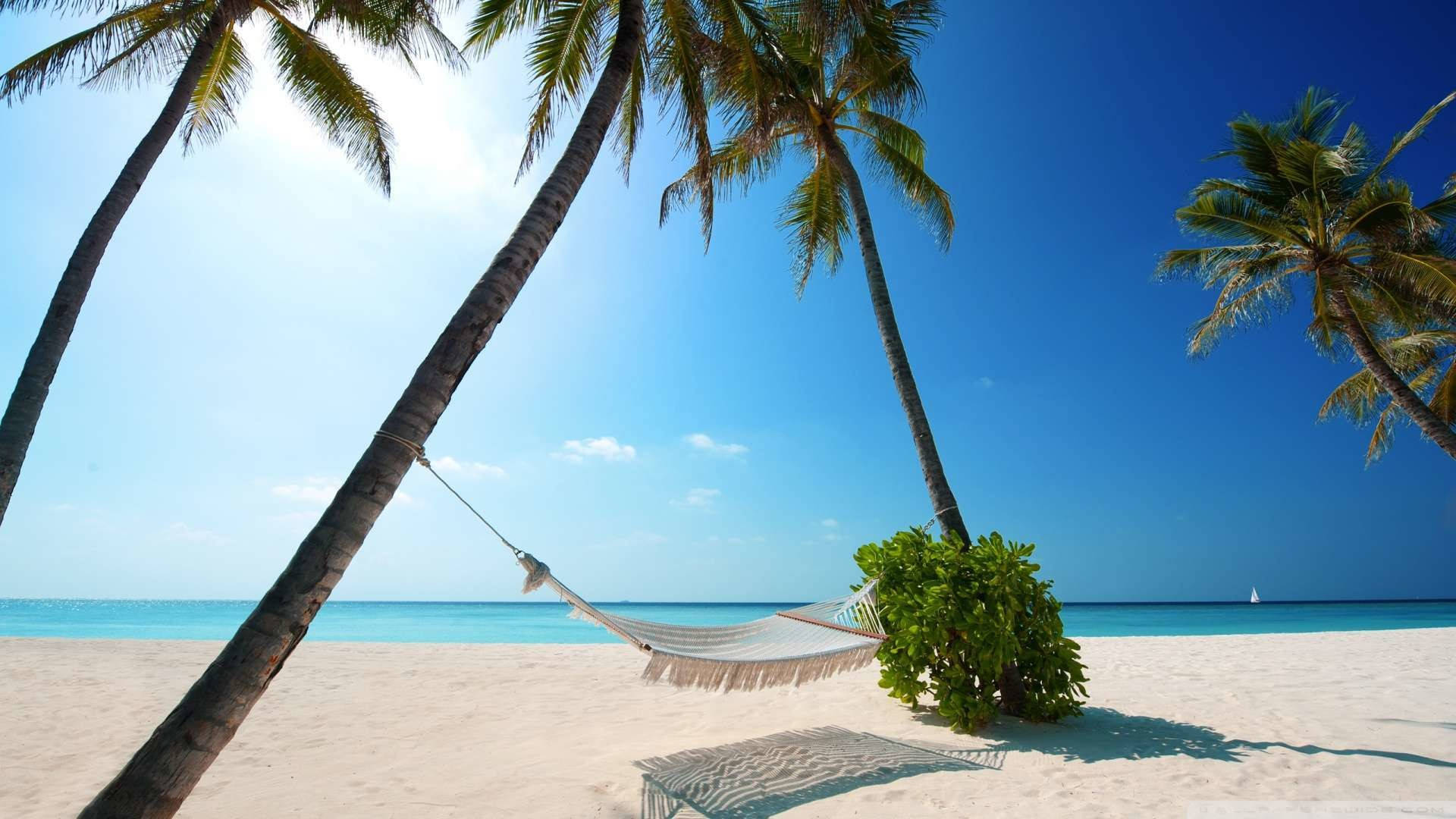 Tropical Beach 桌布 壁紙 — 一個白色吊床掛在兩棵棕櫚樹之間，位於純淨沙灘上，天空清澈湛藍，海洋呈碧綠色。