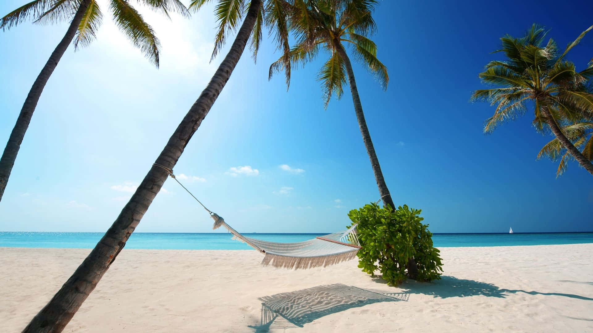 High Resolution Beach 桌布 壁紙 — 一個白色吊床掛在棕櫚樹之間，位於純淨沙灘上，天空清澈湛藍，海洋呈藍綠色。