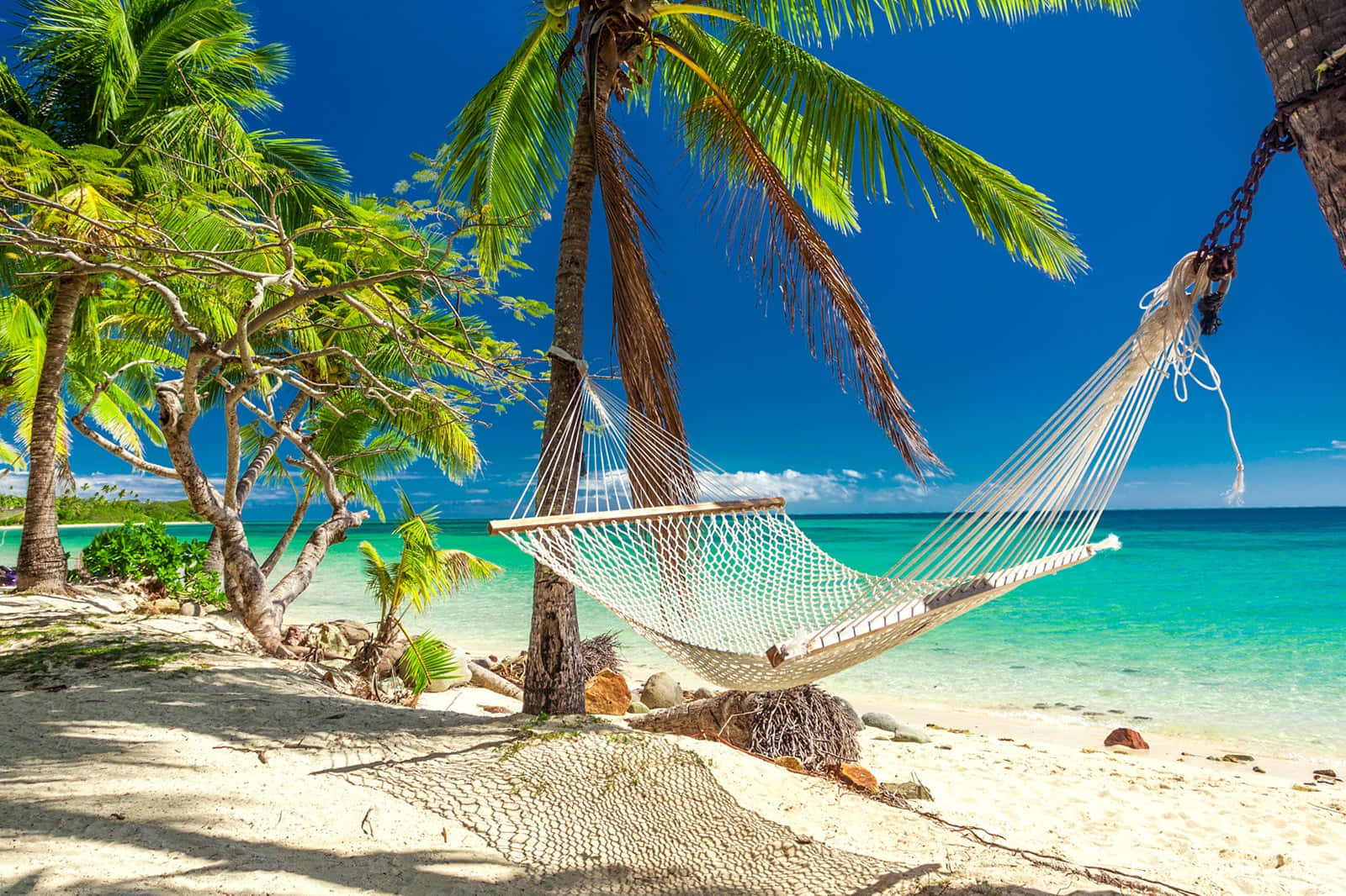 Fiji Beach 桌布 壁紙 — 一個白色吊床掛在棕櫚樹之間，位於陽光普照的熱帶海灘上，有碧綠的海水和清澈的藍天。