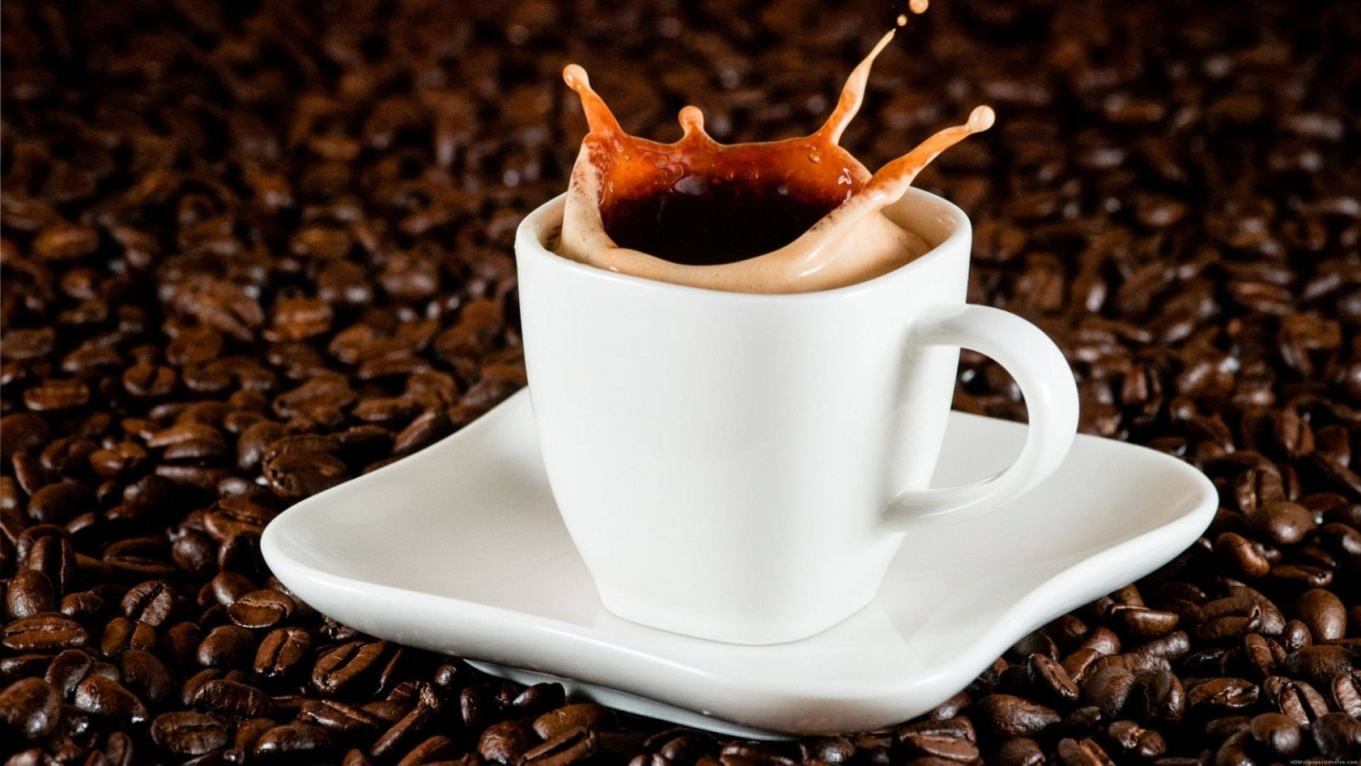 Coffee Aesthetic 桌布 壁紙 — 一個白色咖啡杯，帶有奶油般的飛濺，置於深烘焙咖啡豆之上。
