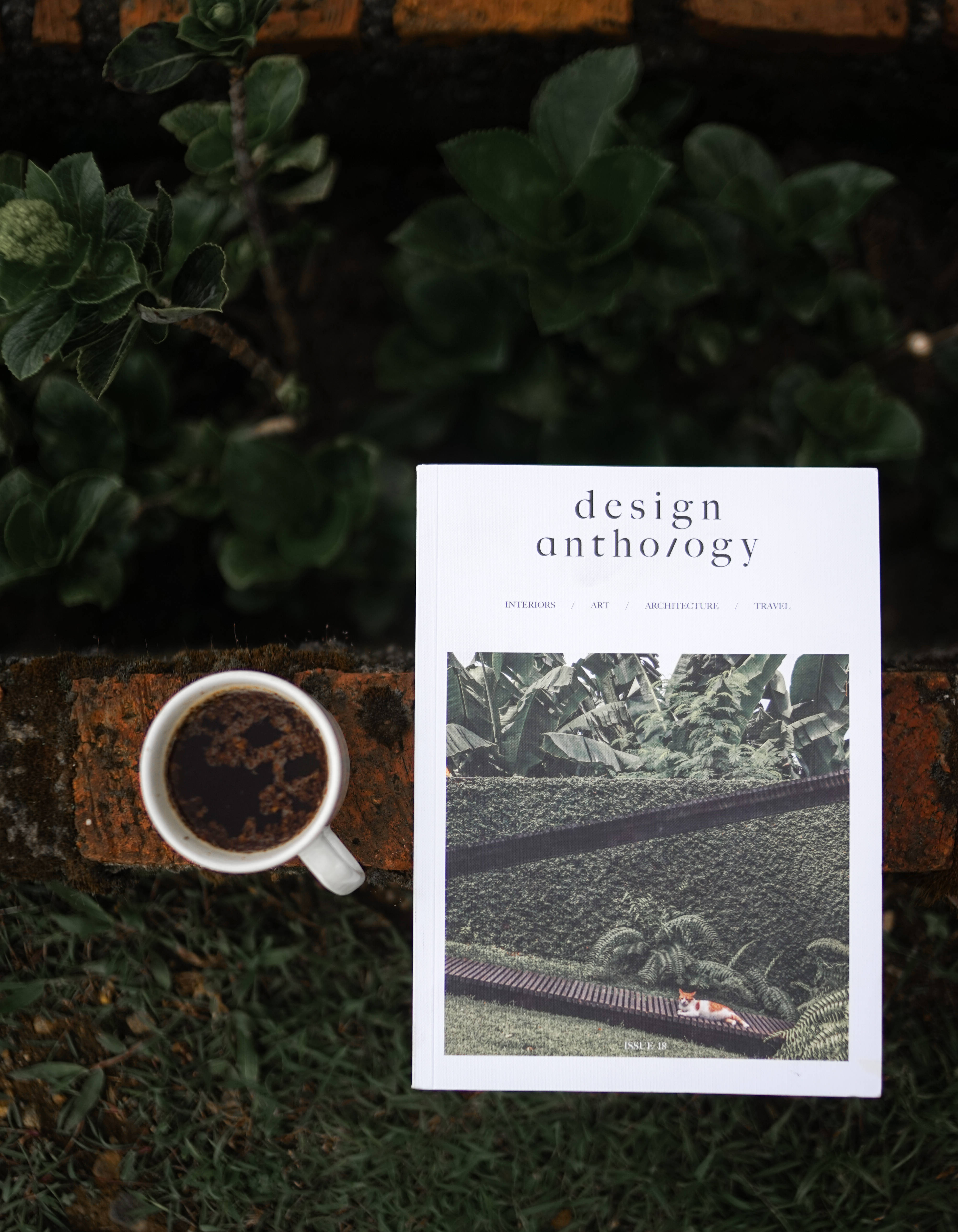 Magazine 桌布 壁紙 — 一個白色咖啡杯和「design anthology」雜誌放在一個被茂密綠葉環繞的磚砌壁架上。