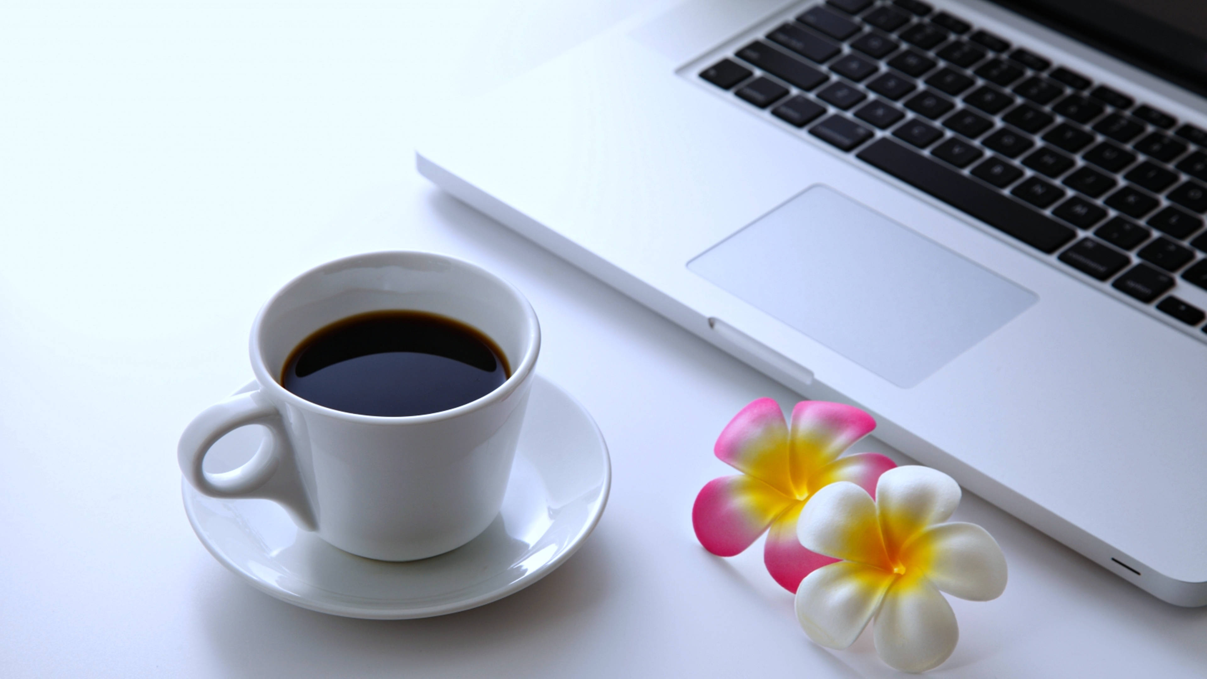 咖啡動圖 桌布 壁紙 — 一個白色咖啡杯旁邊放著筆記型電腦和熱帶花卉，在乾淨的白色桌子上。