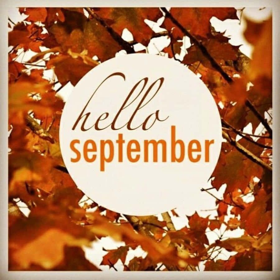 September 桌布 壁紙 — 一個白色圓圈，帶有手寫體 hello september 文字，覆蓋在鮮豔的橙色秋葉上，背景是明亮的天空。