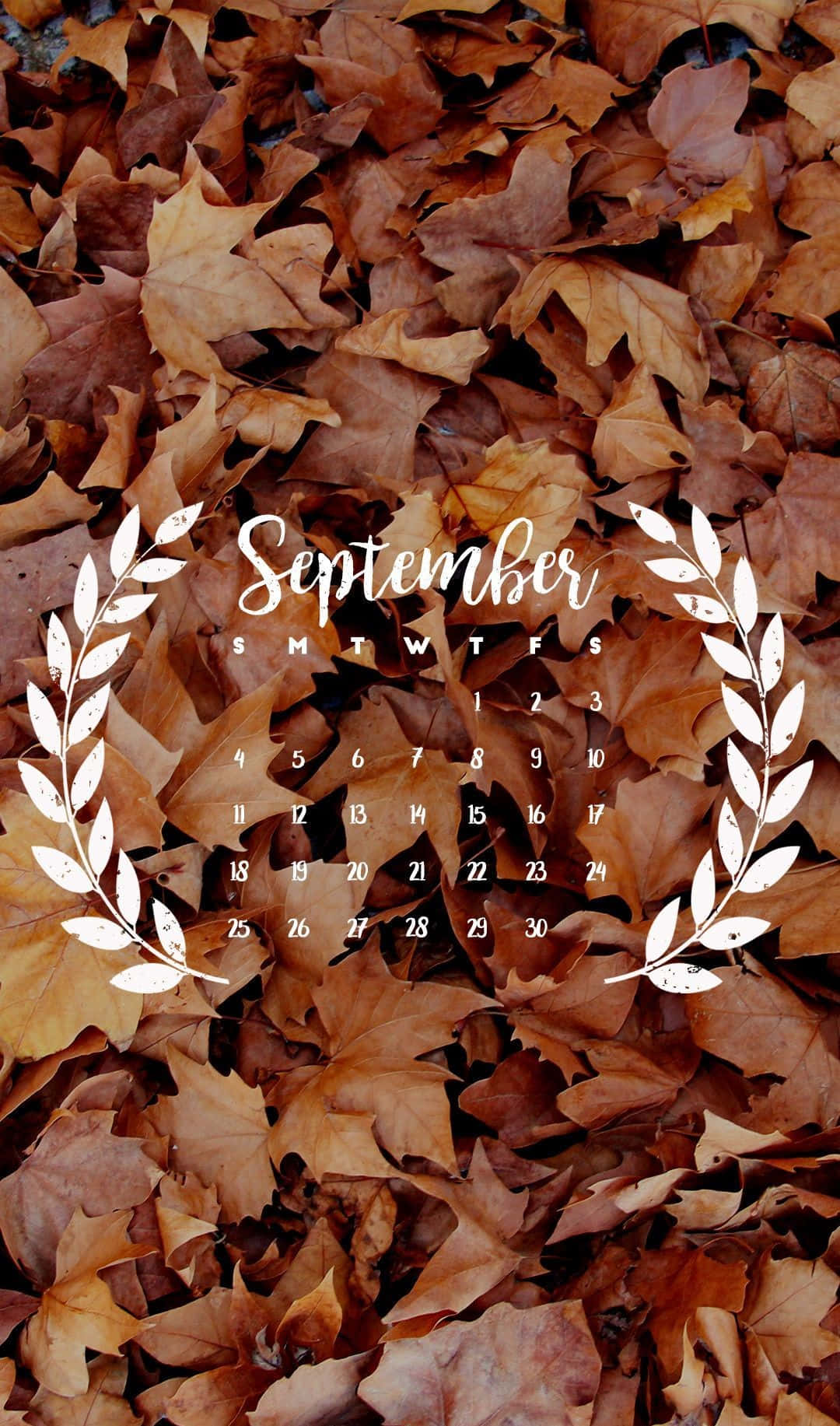September 桌布 壁紙 — 一個白色字體和月桂花環的九月日曆，放置在質感豐富的金棕色秋葉床上。