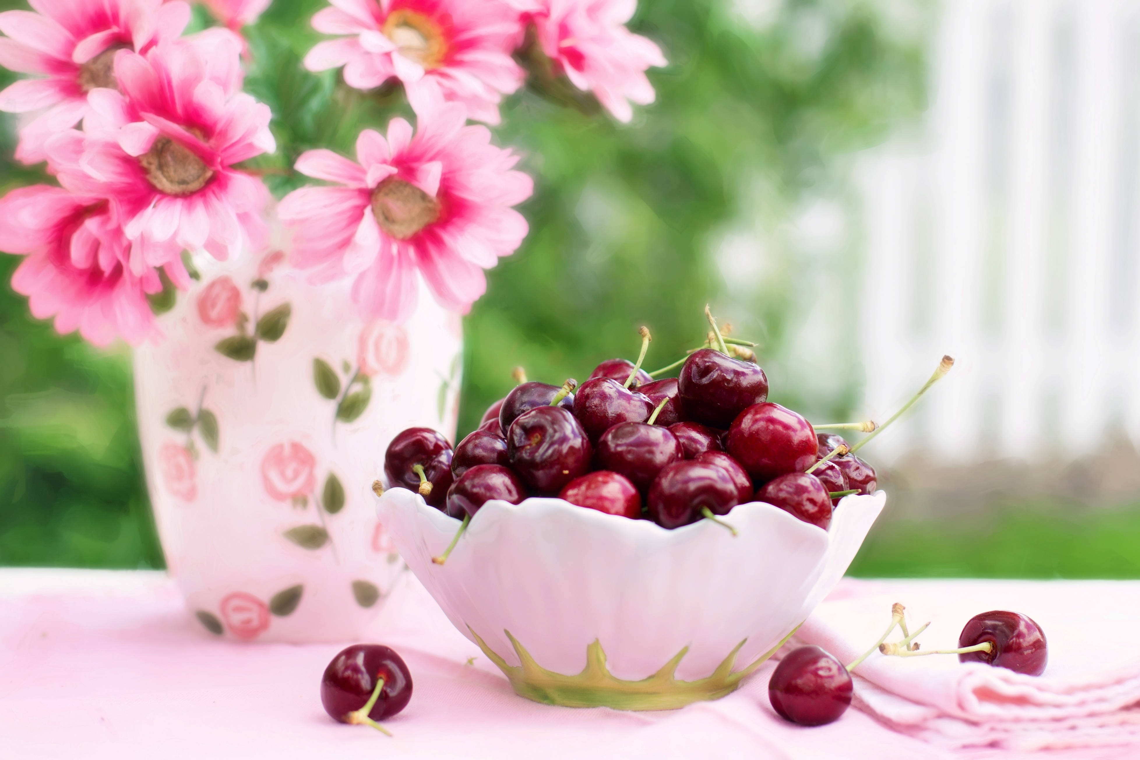 Cherry 桌布 壁紙 — 一個白色扇貝邊碗，盛滿光澤的紅色櫻桃，旁邊是一個粉紅色花卉花瓶，插著鮮粉紅色雛菊，放在柔軟的粉紅色布上。