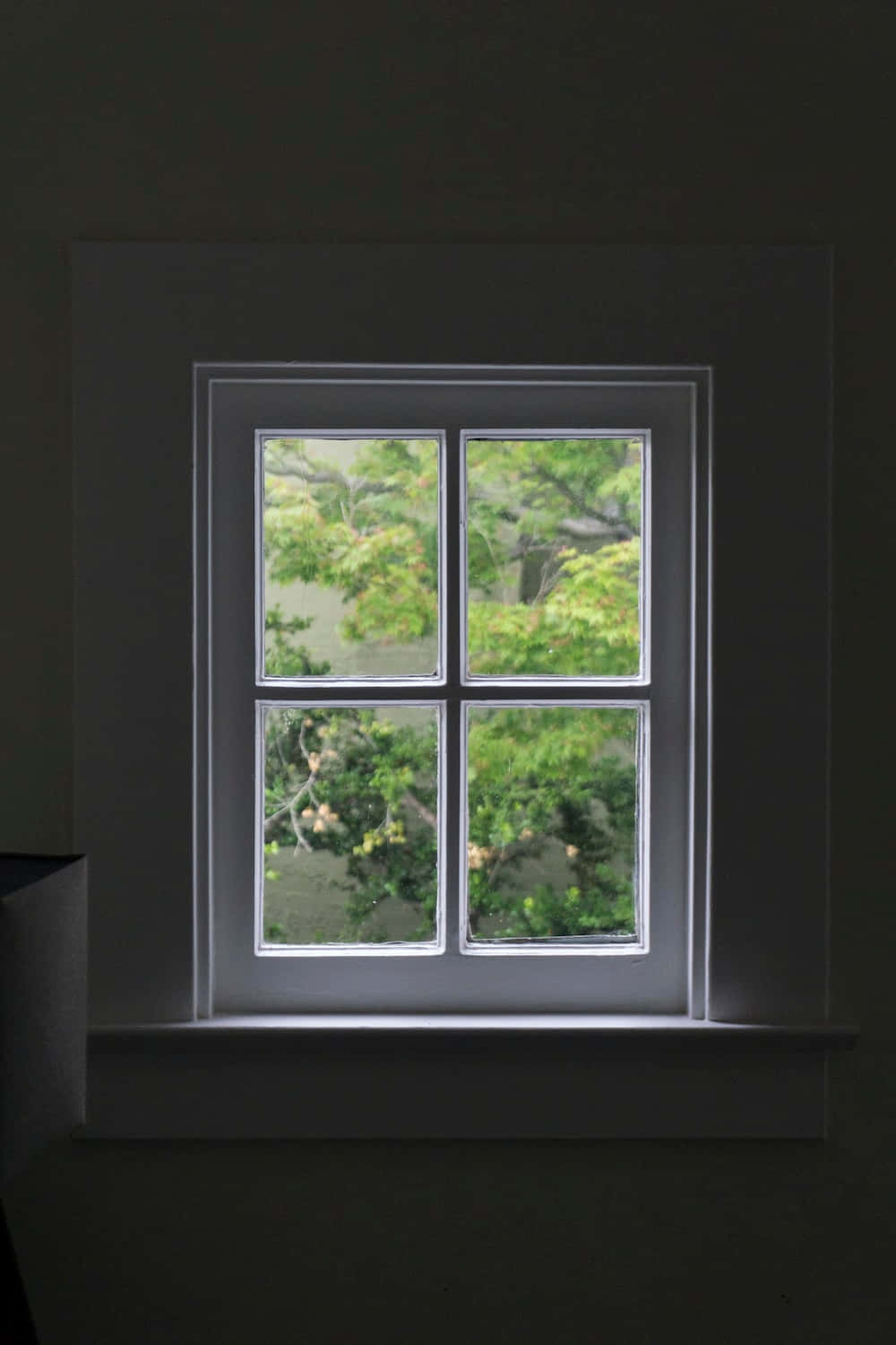window 桌布 壁紙 — 一個白色框架的四格窗戶將柔和光線投射進昏暗的房間，顯露出外面茂密的綠樹。