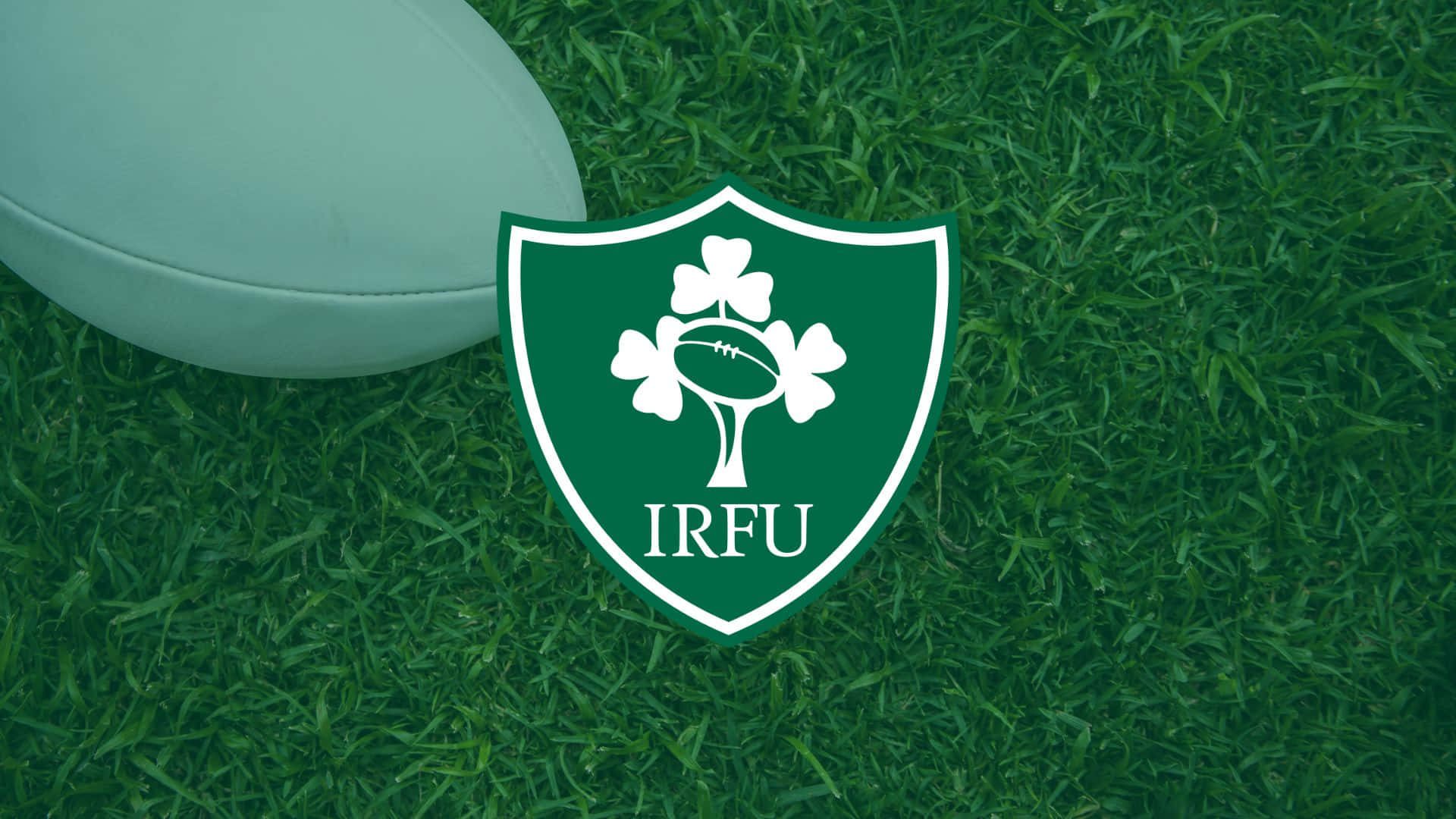 Ireland Rugby 桌布 壁紙 — 一個白色橄欖球放在愛爾蘭橄欖球聯盟標誌旁邊，背景是充滿活力的綠色草地。