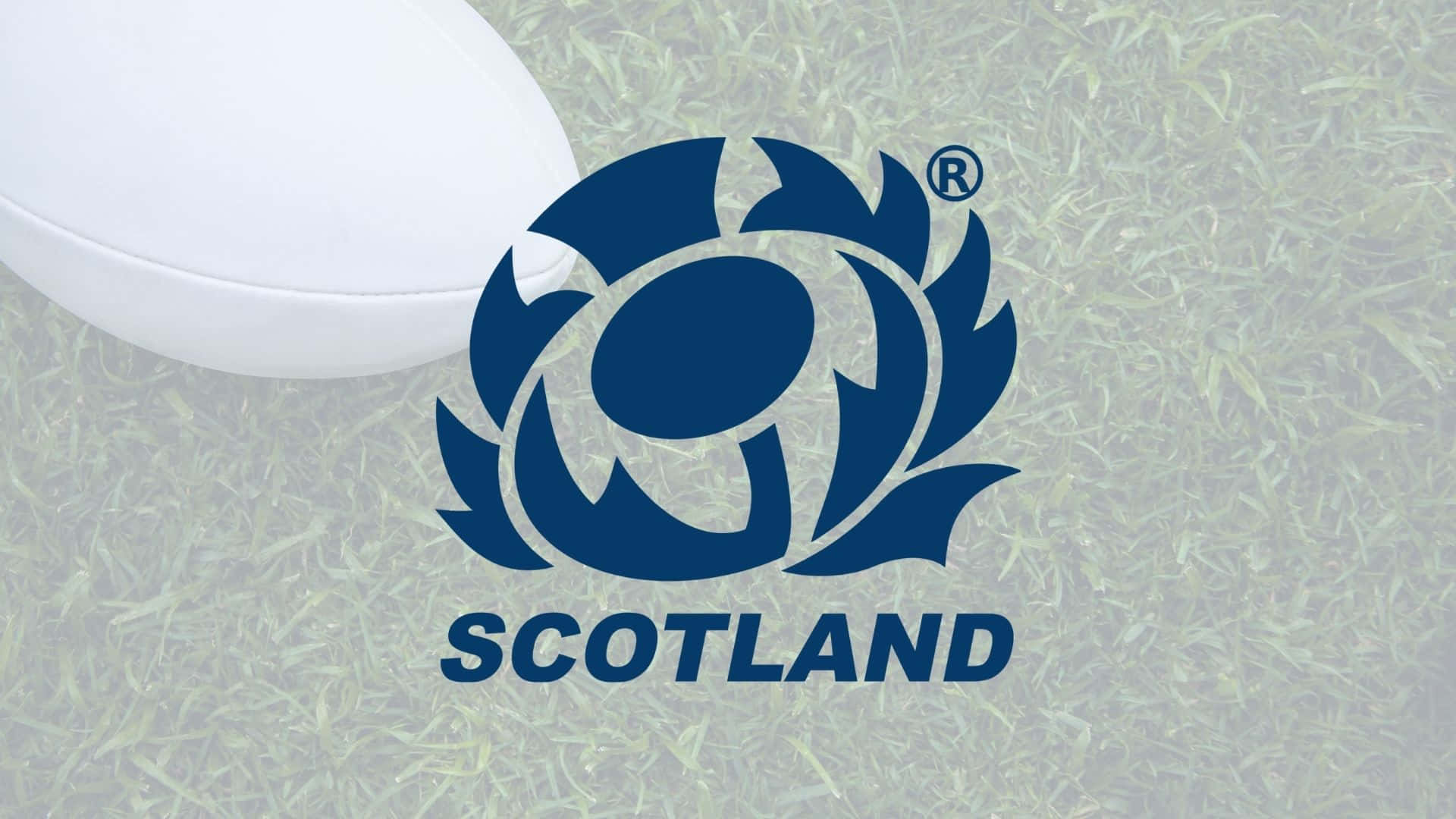 Scotland Rugby 桌布 壁紙 — 一個白色橄欖球放在蘇格蘭藍色薊花標誌旁邊，背景是模糊的綠色草地。