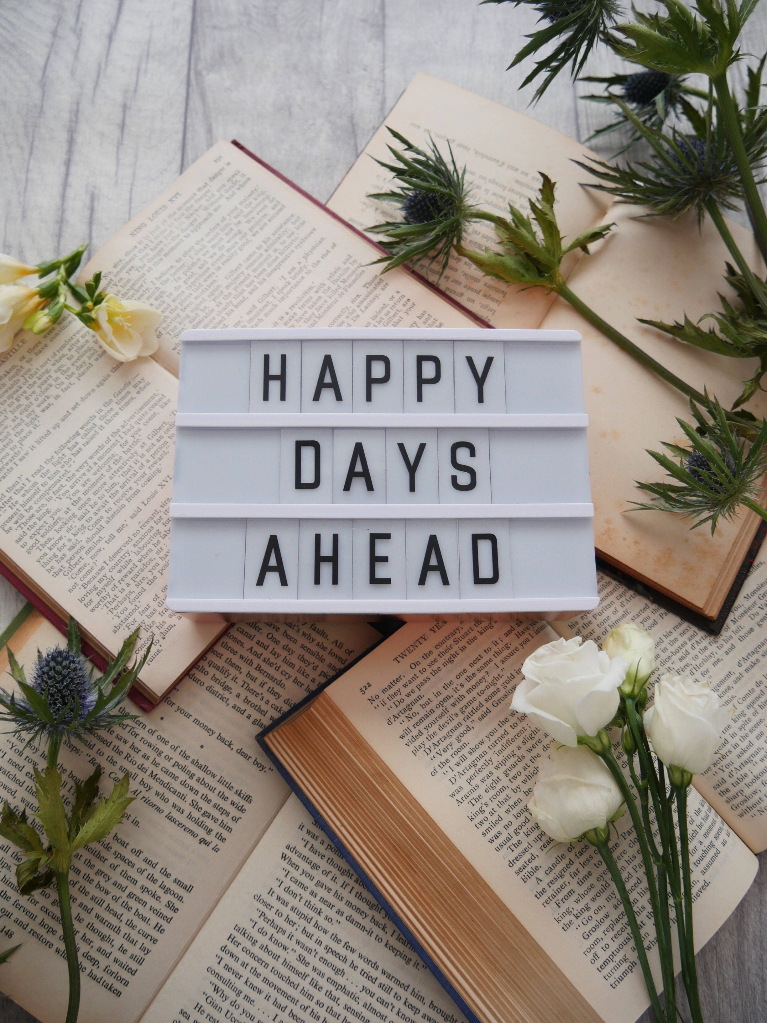勵志動圖 桌布 壁紙 — 一個白色燈箱展示著「HAPPY DAYS AHEAD」，放在打開的書本上，周圍環繞著新鮮的白玫瑰和帶刺的綠色薊草，置於木質表面。