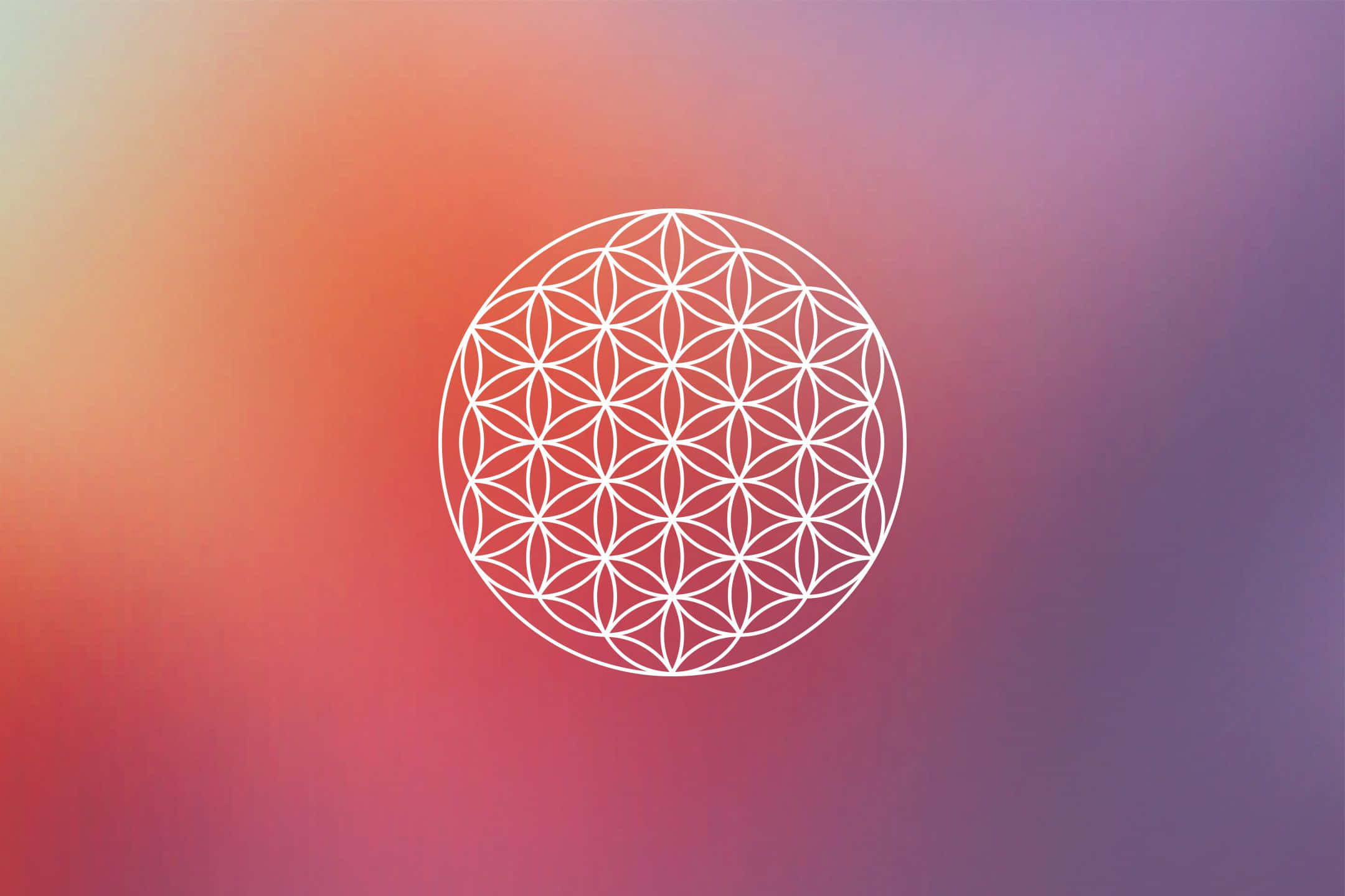 桌布 壁紙 — 一個白色生命之花幾何圖案，居中於柔和漸變背景，融合橙色、粉紅色和紫色色調。