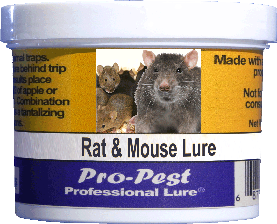 松鼠 桌布 壁紙 — 一個白色的 Pro-Pest 老鼠誘餌容器，標籤上顯示三隻老鼠和粗體文字，背景為黃色和藍色。
