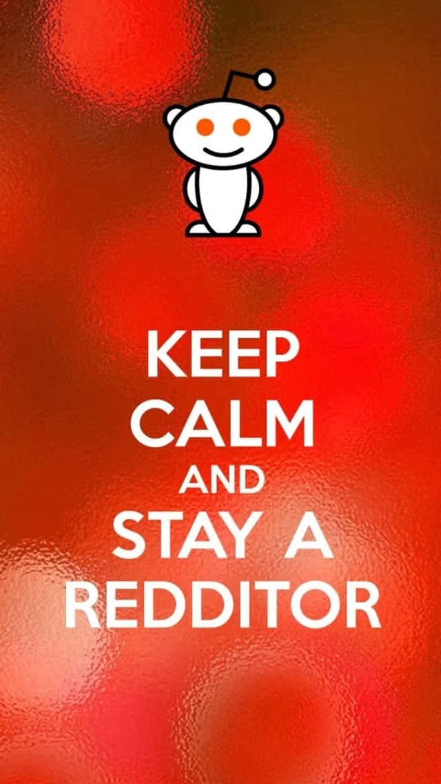 reddit 桌布 壁紙 — 一個白色的 Reddit 外星人吉祥物在紋理火紅背景上，於粗體白色文字 'KEEP CALM AND STAY A REDDITOR' 上方微笑。