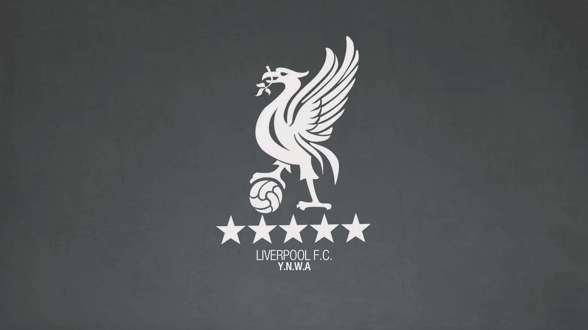 Liverpool Fc Desktop 桌布 壁紙 — 一個白色的利物浦足球俱樂部徽章，上面有一隻帶翅膀的利物鳥，手持足球，並有五顆星，背景為帶紋理的深灰色。