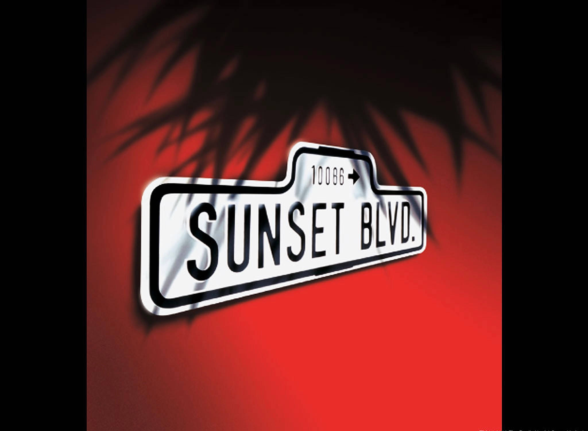 Boulevard 桌布 壁紙 — 一個白色的日落大道街牌在鮮紅色背景上投射出棕櫚樹的影子。