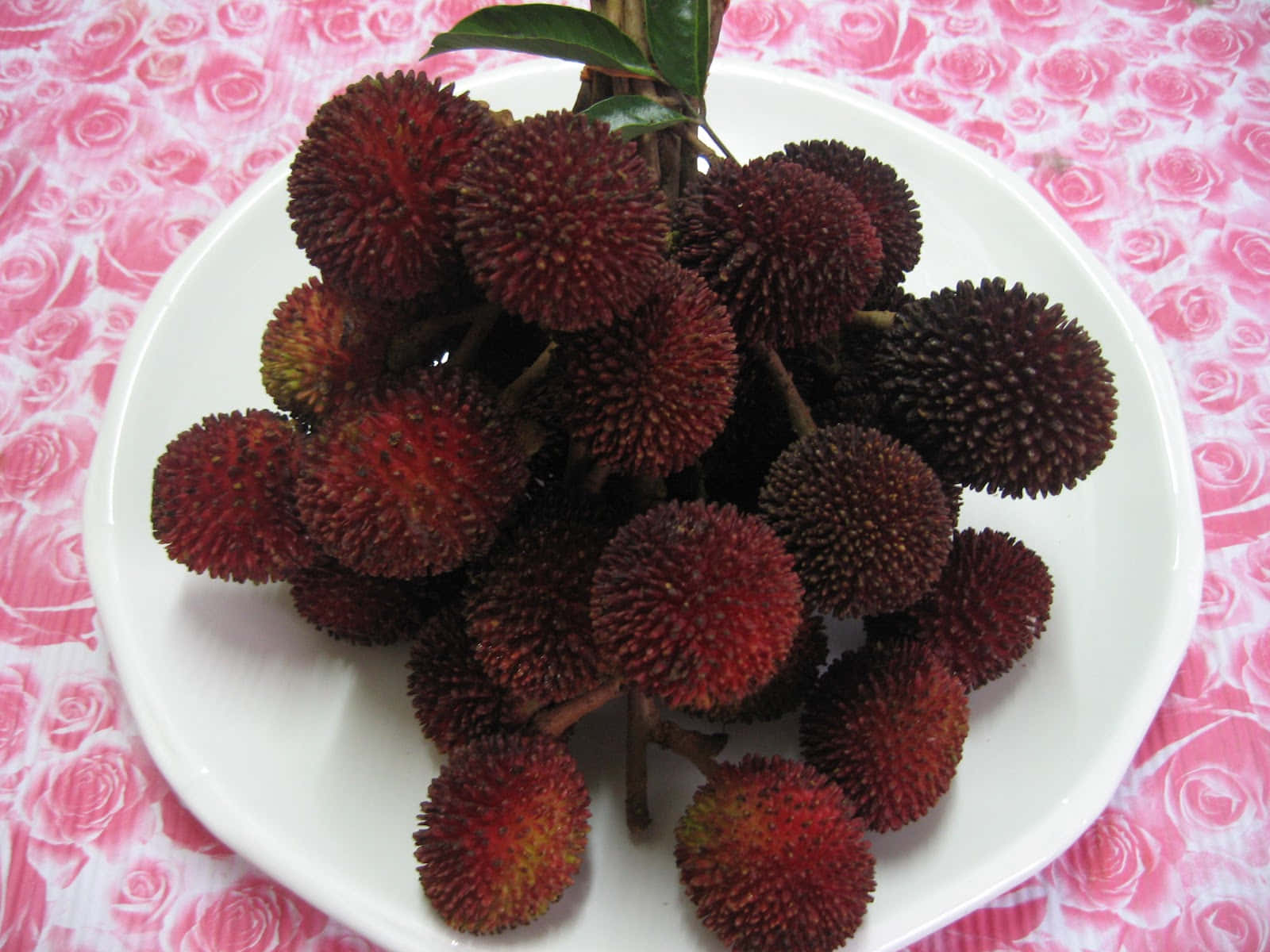 Fruits 桌布 壁紙 — 一個白色盤子堆滿帶刺的紅色荔枝和綠葉，放在粉紅色玫瑰圖案的桌布上。