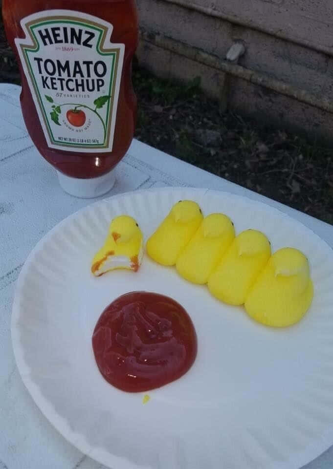 Food Memes 桌布 壁紙 — 一個白色紙盤上放有一團番茄醬和黃色棉花糖小雞（其中一個被咬了一口），旁邊有一瓶亨氏番茄醬在露台桌上。