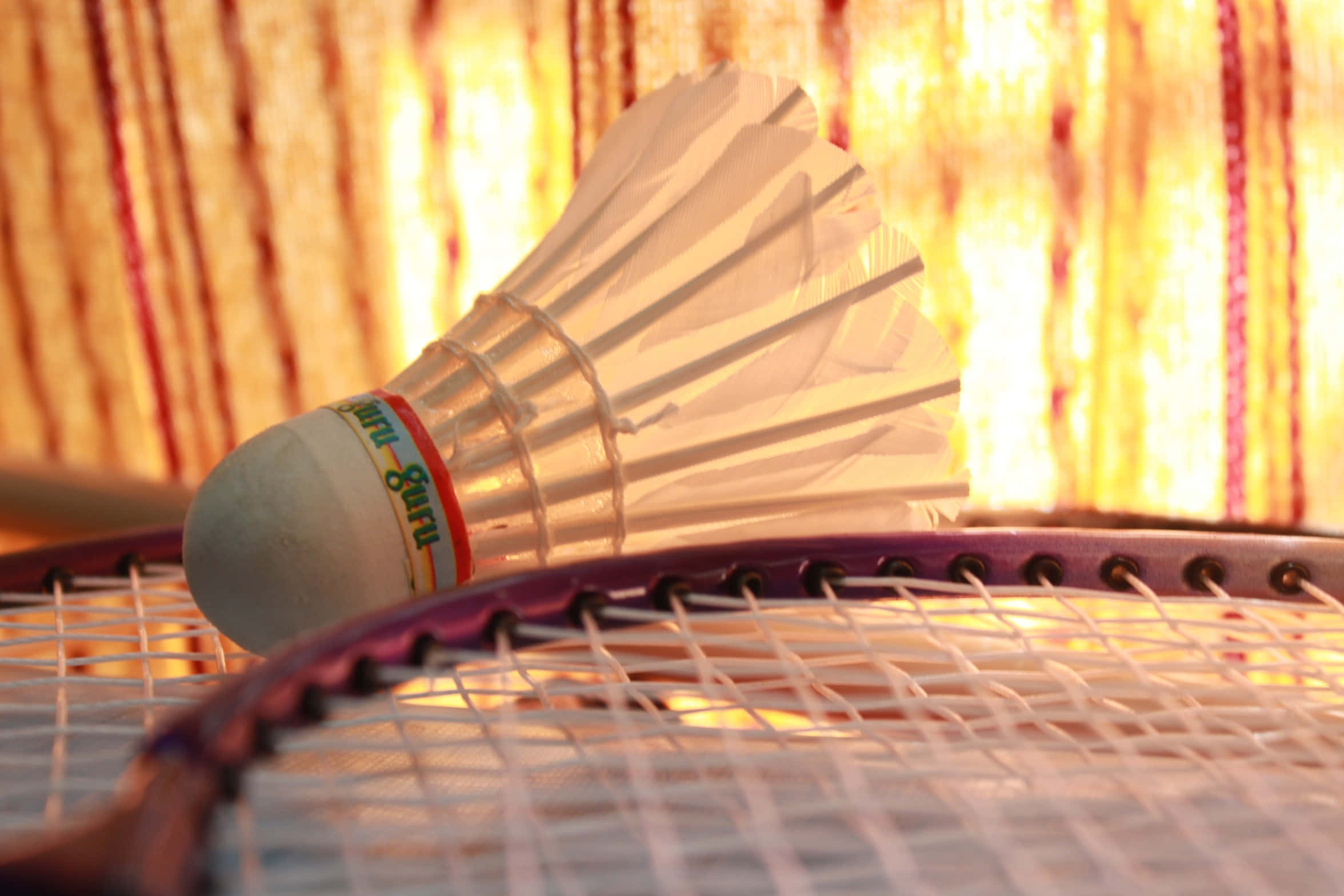 Badminton 桌布 壁紙 — 一個白色羽毛球在紫色羽毛球拍上的特寫，背景是溫暖發光的窗簾。