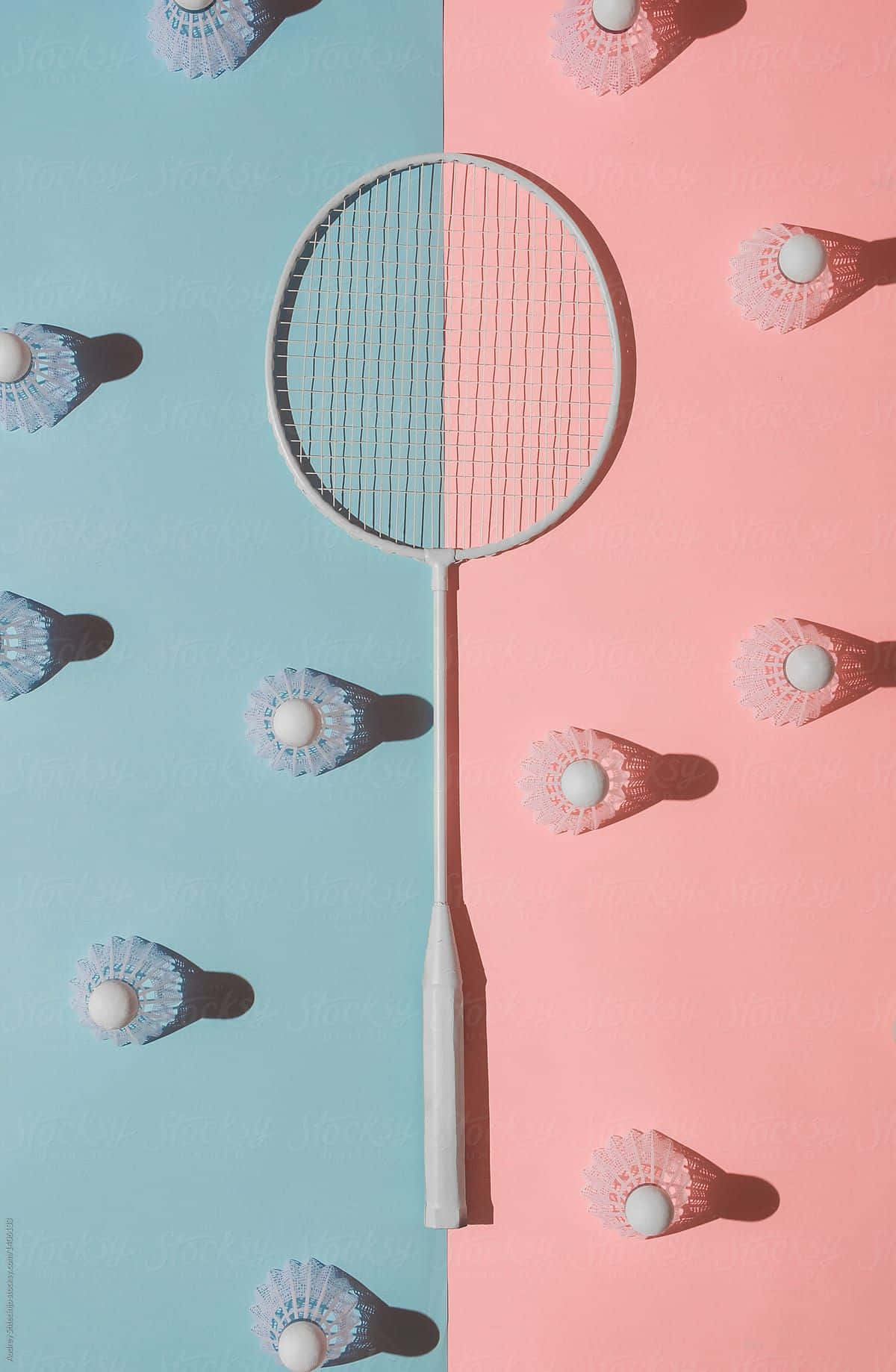 Best Badminton 桌布 壁紙 — 一個白色羽毛球拍置於藍色和粉紅色兩半之間，周圍有羽毛球投射陰影。