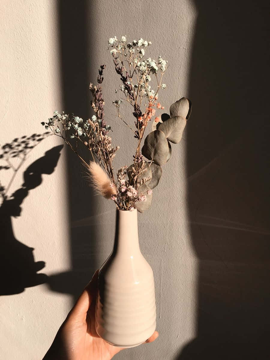 一個白色花瓶裡插著幾朵乾燥花 壁紙