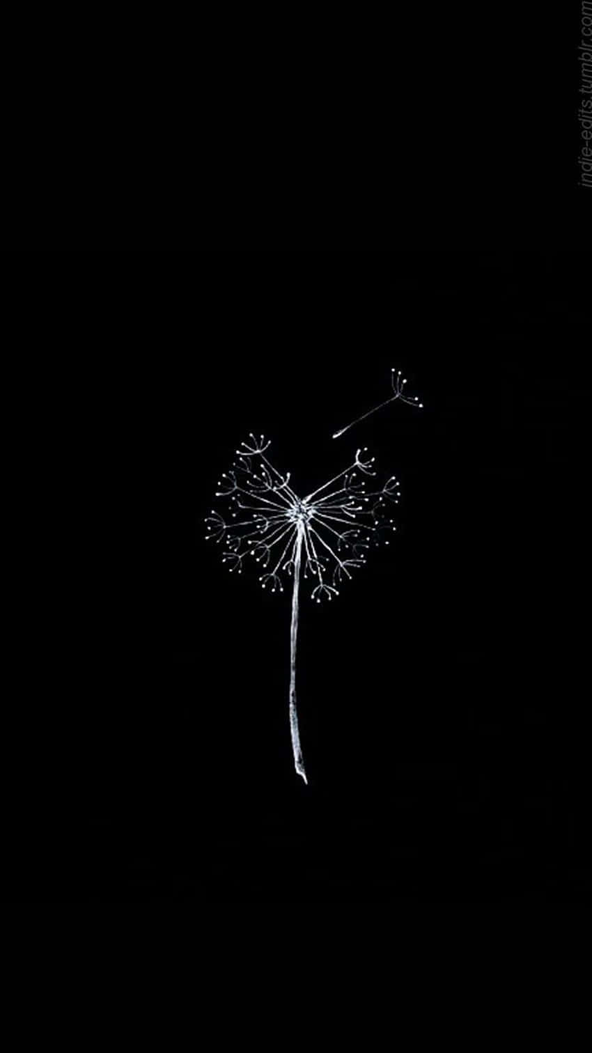 Simple Black And White 桌布 壁紙 — 一個白色蒲公英種子頭漂浮在 stark 黑色背景上，其中一顆種子飄走。