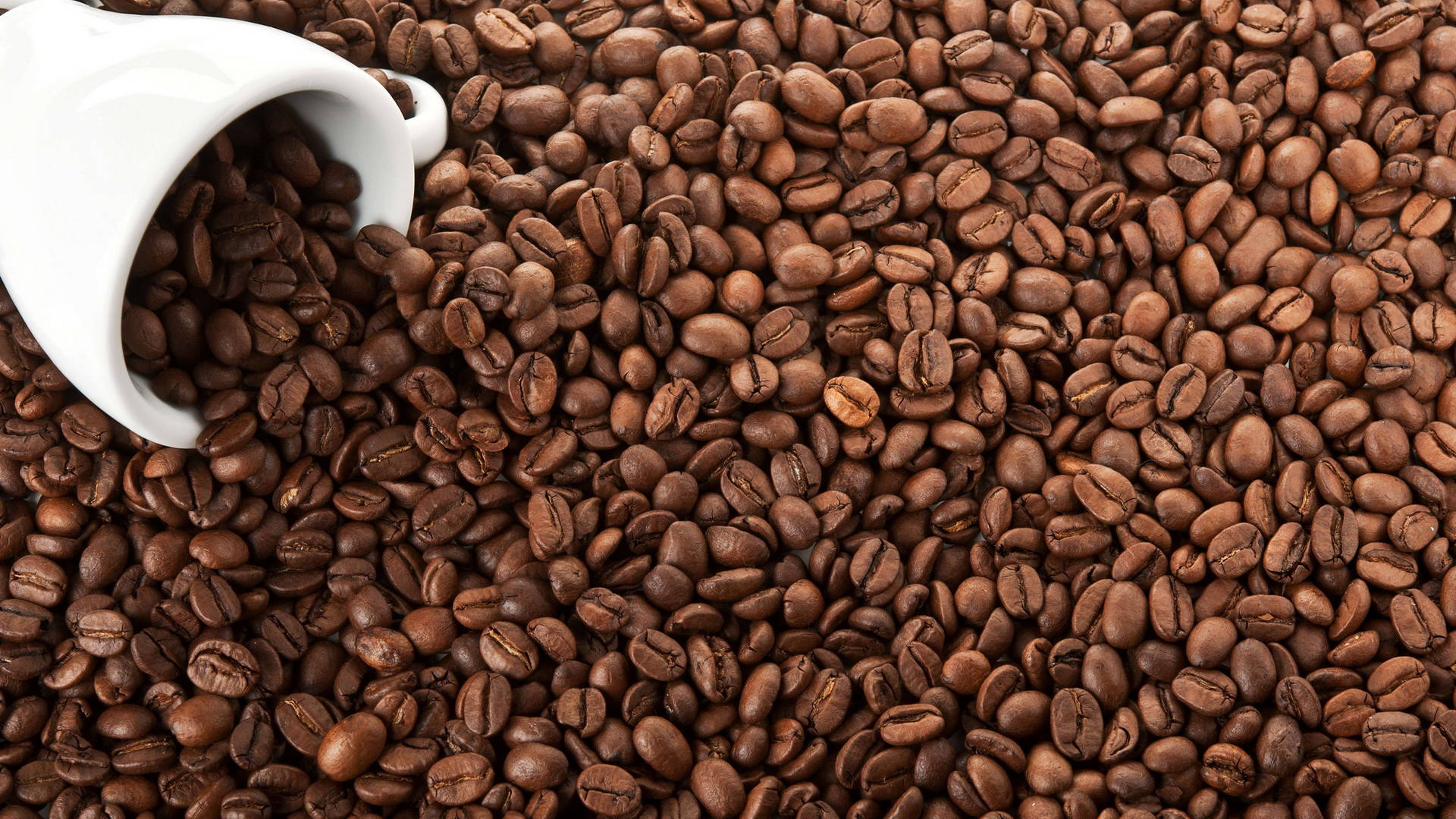 beans 桌布 壁紙 — 一個白色陶瓷杯將烘焙咖啡豆灑在帶有紋理的表面上，呈現溫暖的大地色調。