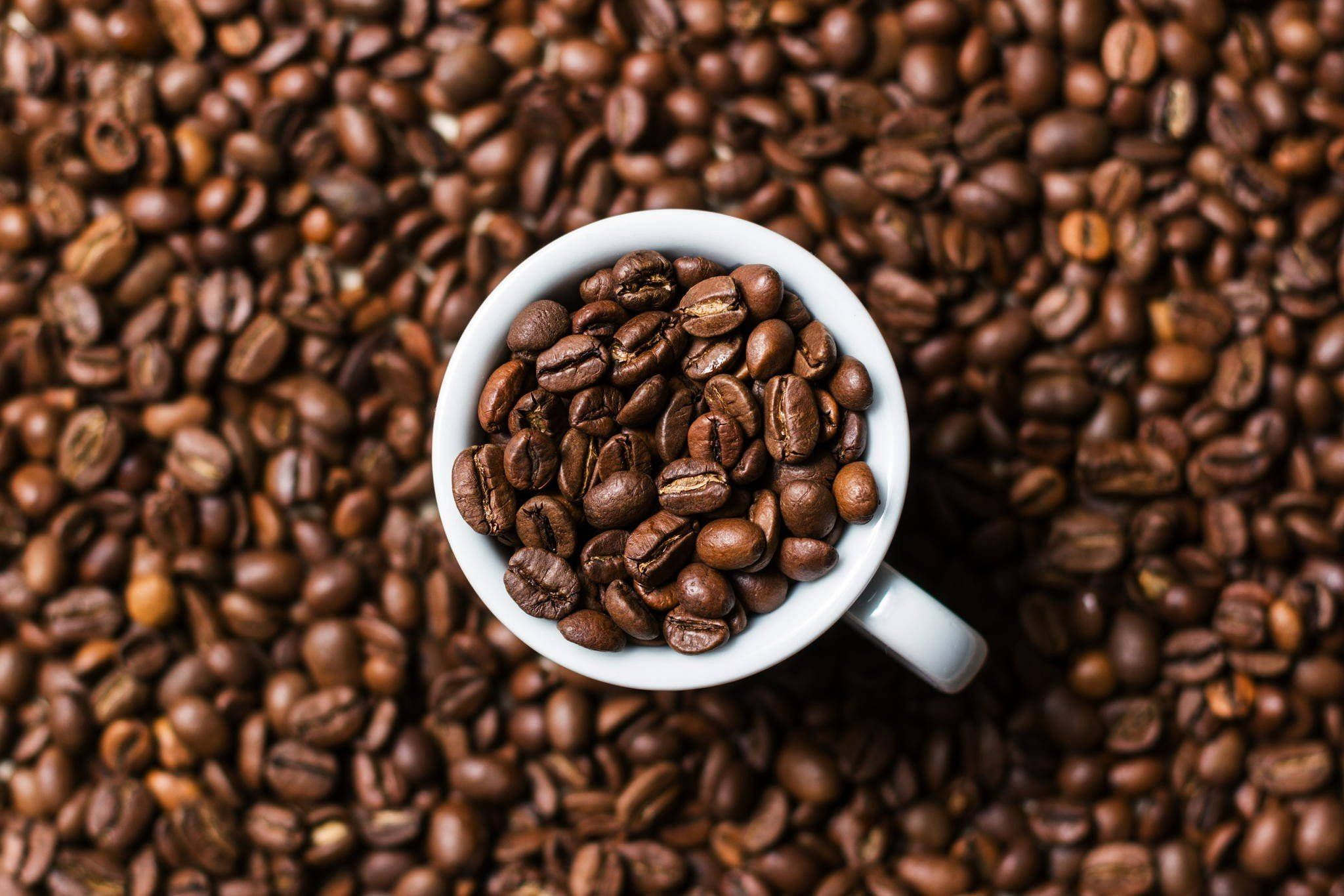 cup 桌布 壁紙 — 一個白色陶瓷杯裝滿烘焙咖啡豆，放在一片相同咖啡豆的海洋上，俯拍視角。