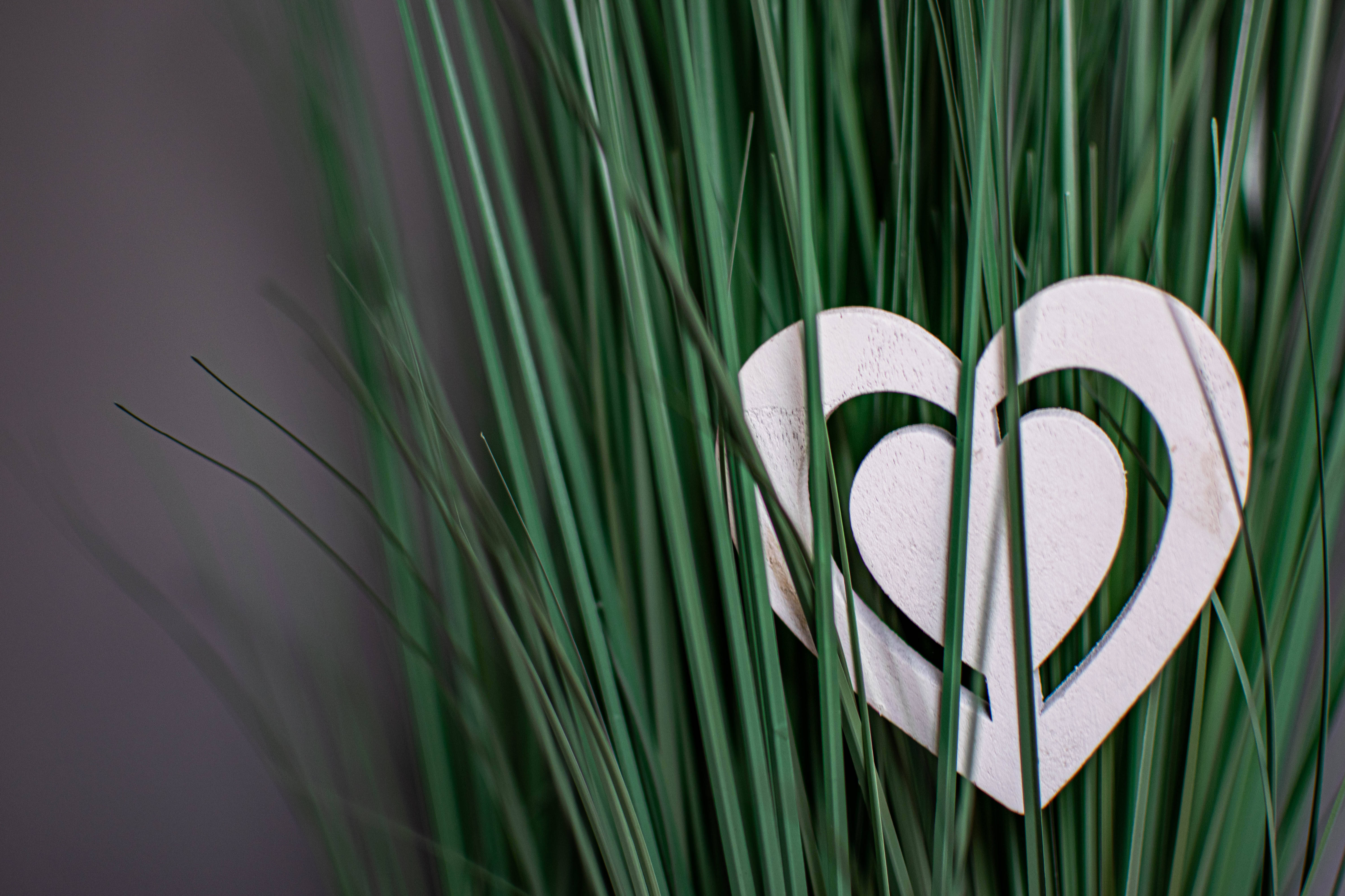 Cute Heart 桌布 壁紙 — 一個白色雙心鏤空圖案，嵌在充滿活力的綠色草葉之間，背景是柔和的灰色。