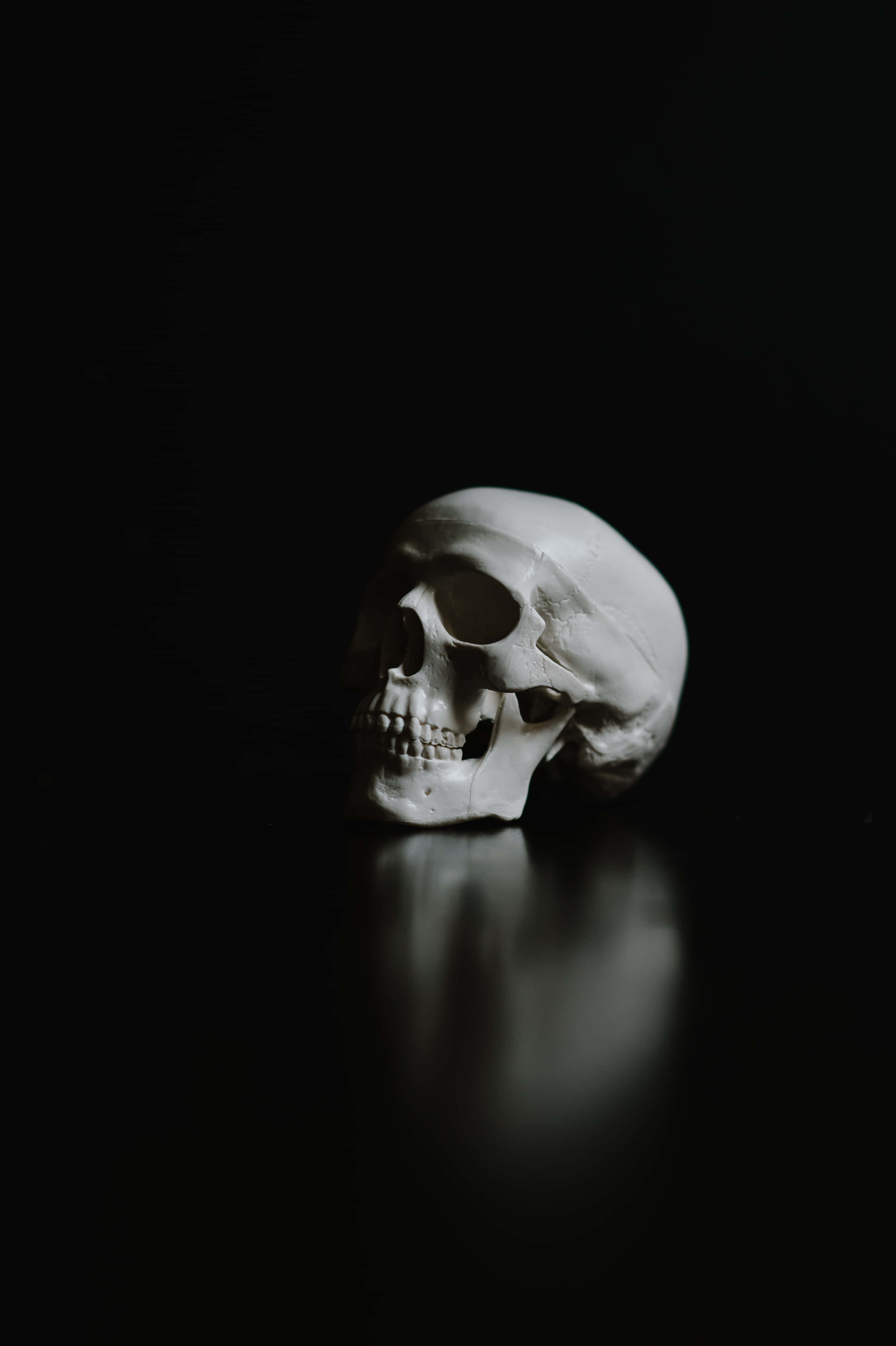 Black Skeleton 桌布 壁紙 — 一個白色頭骨單獨放置在反射表面上，背景為漆黑一片，由戲劇性的側光照明。
