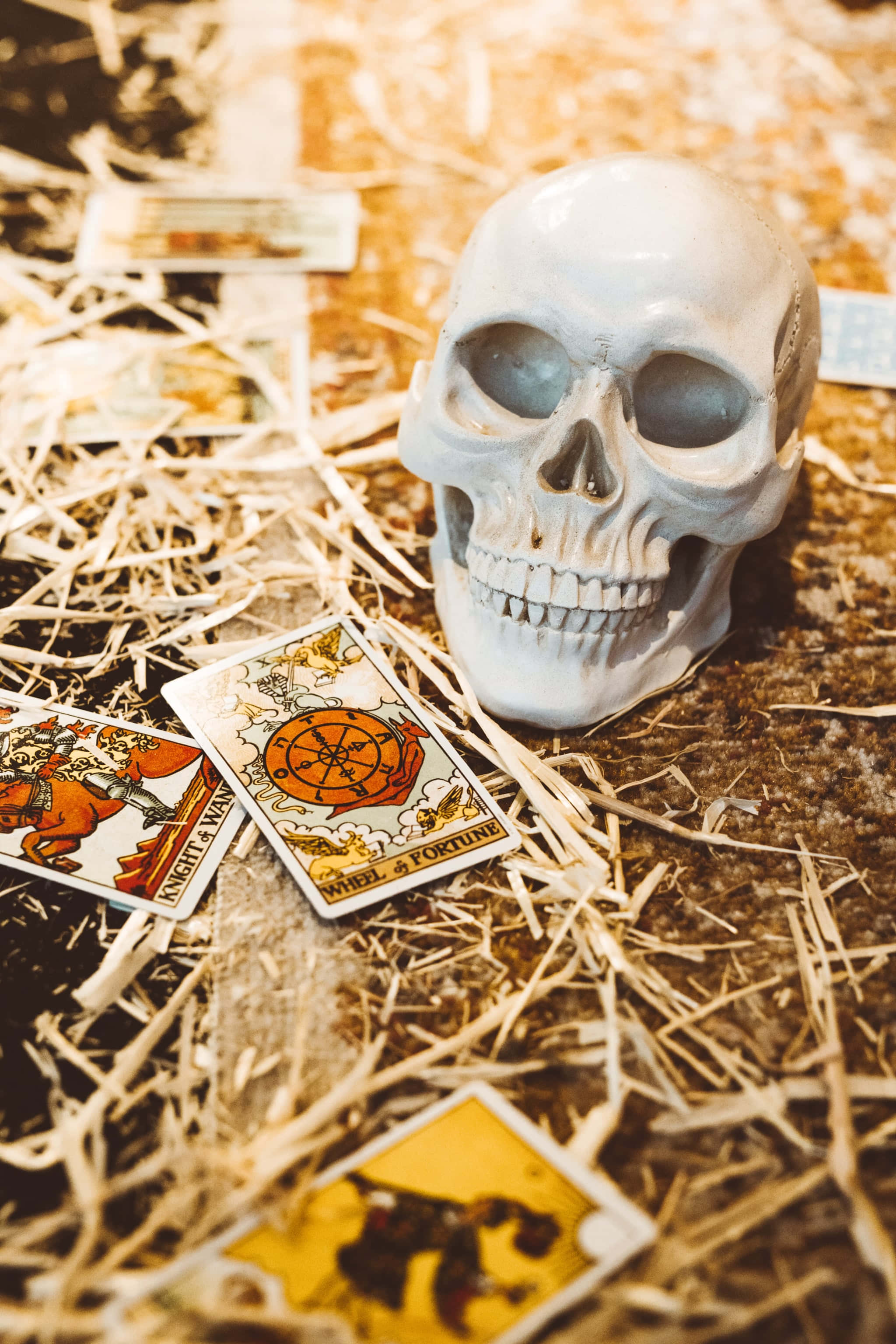 Spooky iPhone 桌布 壁紙 — 一個白色頭骨躺在溫暖金色光線下的稻草床上，周圍散落著塔羅牌。