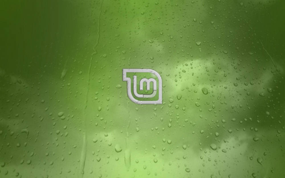 Linux 桌布 壁紙 — 一個白色風格化標誌置於雨點斑駁的窗戶中央，窗外有模糊的綠色樹葉和雲朵。