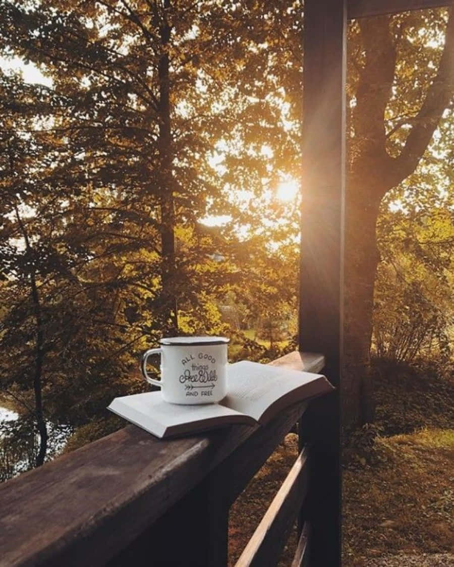 Morning Coffee 桌布 壁紙 — 一個白色馬克杯和一本打開的書放在木製欄杆上，金色陽光穿過秋天的樹木灑落。