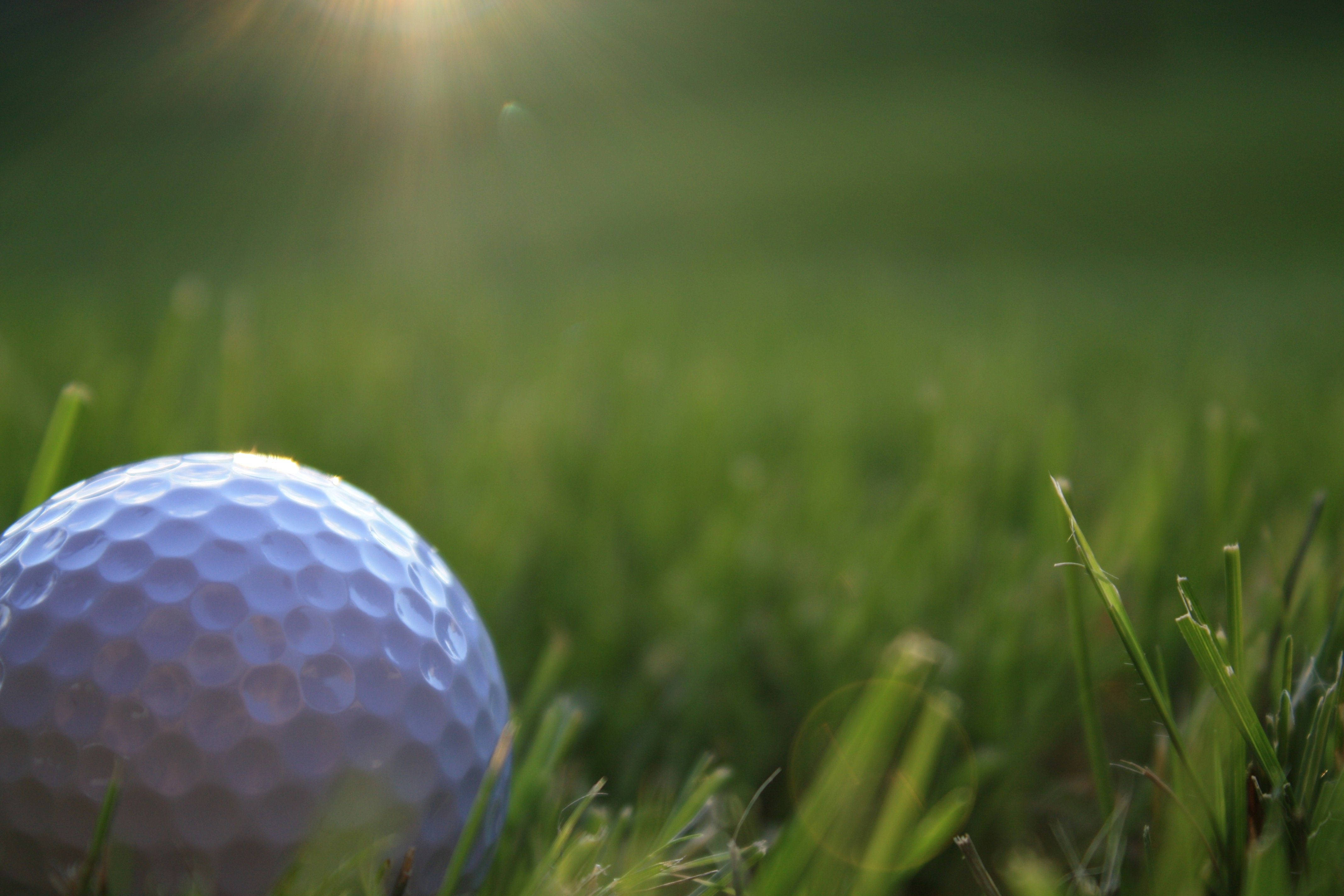 Golfing 桌布 壁紙 — 一個白色高爾夫球的特寫，在充滿活力的綠色草地上，背景有柔和的陽光照射。