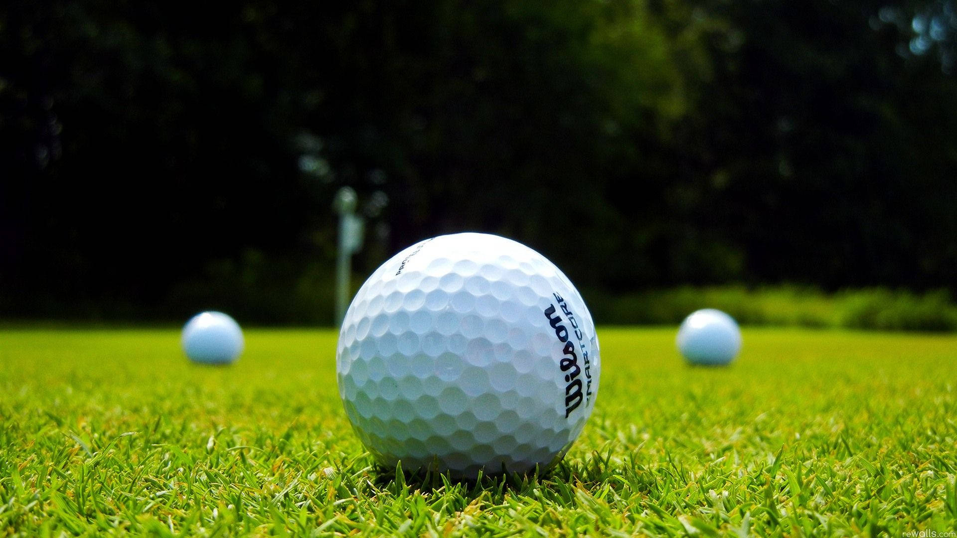 Golfing 桌布 壁紙 — 一個白色高爾夫球的特寫，放在充滿活力的綠色草地上，背景有另外兩個模糊的球。