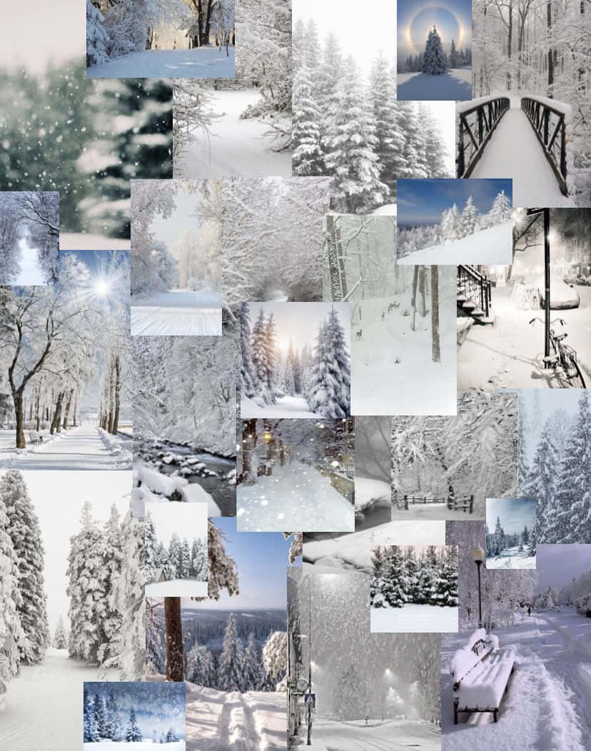 Winter Aesthetic Collage 桌布 壁紙 — 一個白雪皚皚的冬季仙境拼貼畫， featuring 被霜覆蓋的樹木、橋樑和小徑，在柔和的藍白燈光下。