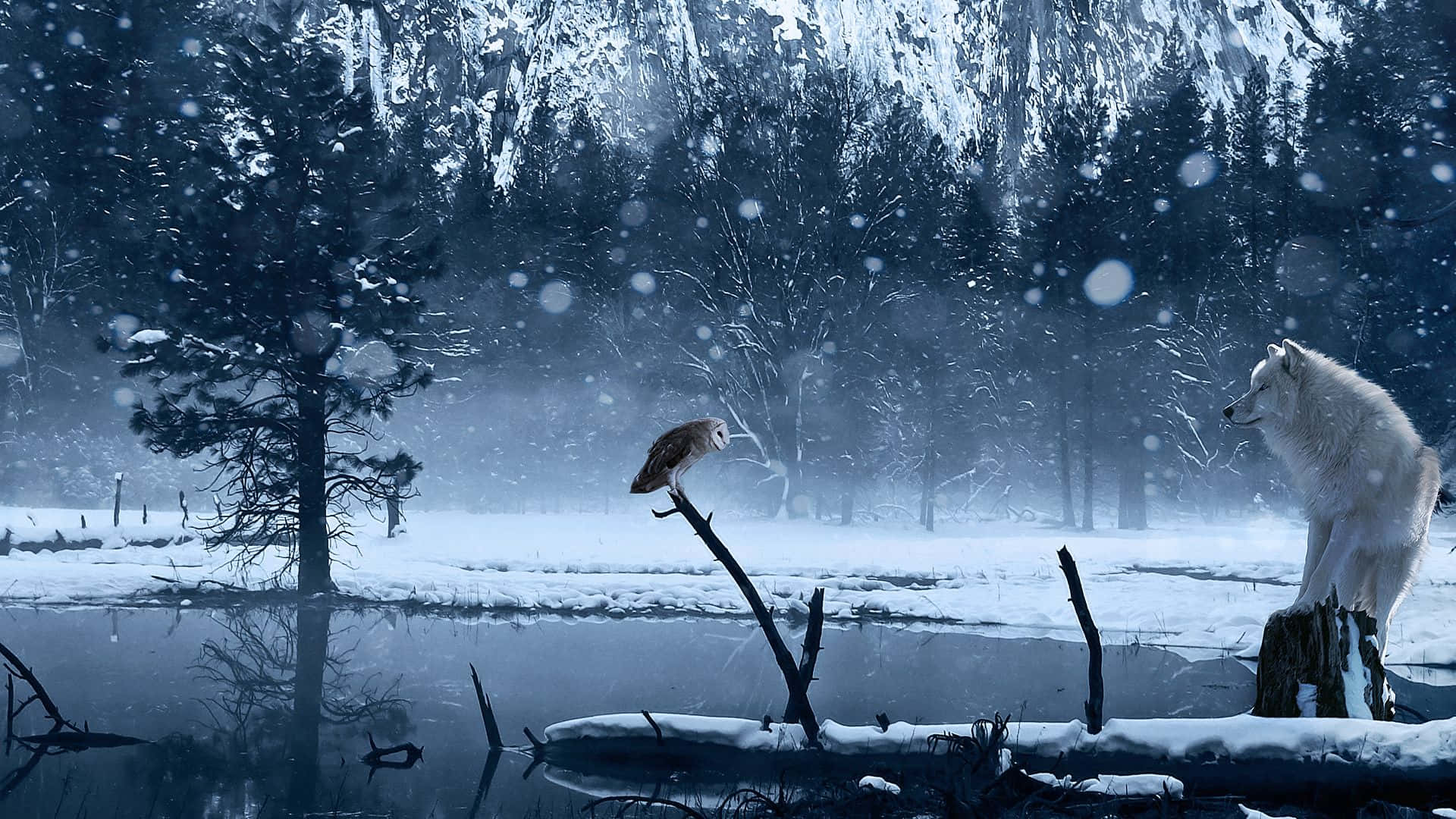 Wolf In Water 桌布 壁紙 — 一個白雪皚皚的冬日場景，一隻白狼和一隻貓頭鷹在飄雪中於結冰的池塘附近面對面。
