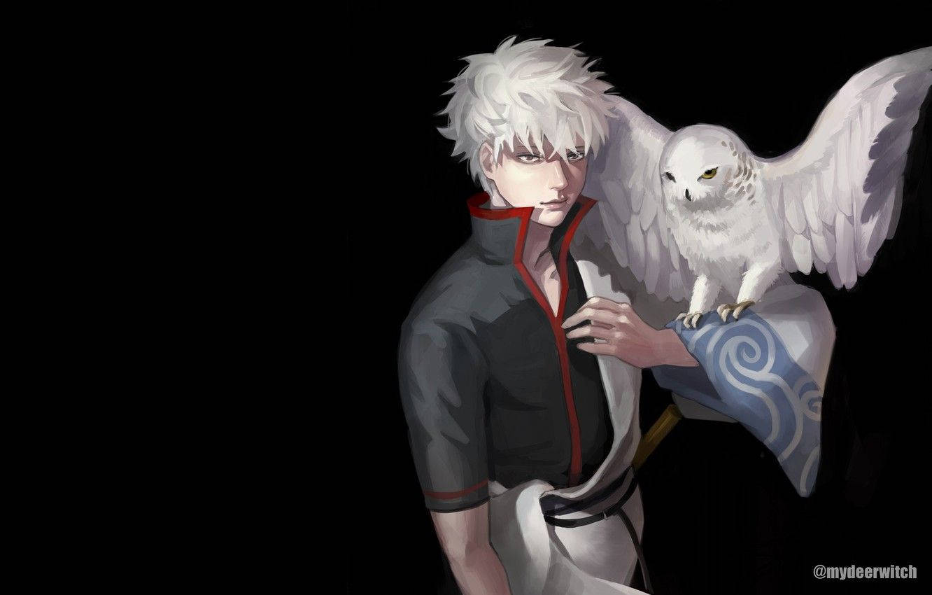 Gintama 桌布 壁紙 — 一個白髮動漫角色，肩上站著一隻白色貓頭鷹，背景為黑色。