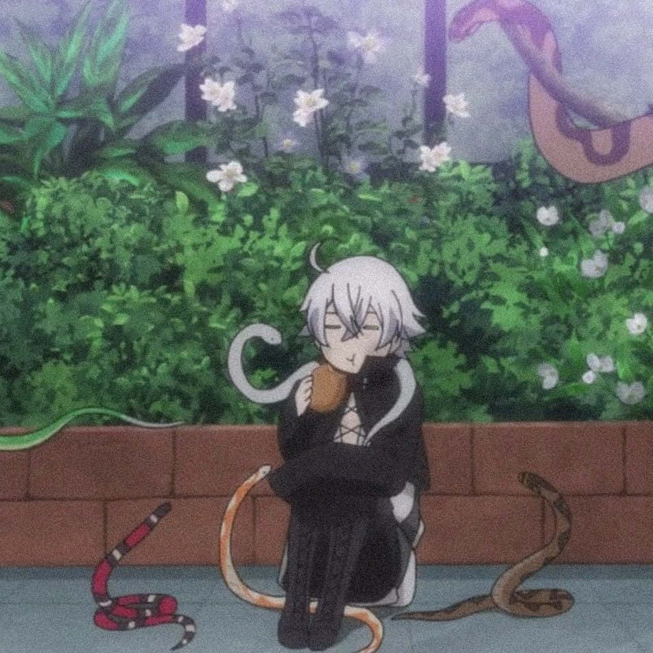 Black Butler Snake 桌布 壁紙 — 一個白髮動漫角色平靜地坐在磚砌邊緣，周圍環繞著茂密的綠植和各種蛇。