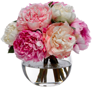 Peony 桌布 壁紙 — 一個盛開的粉紅色和白色牡丹花束，放在一個裝滿水的透明玻璃花瓶裡。