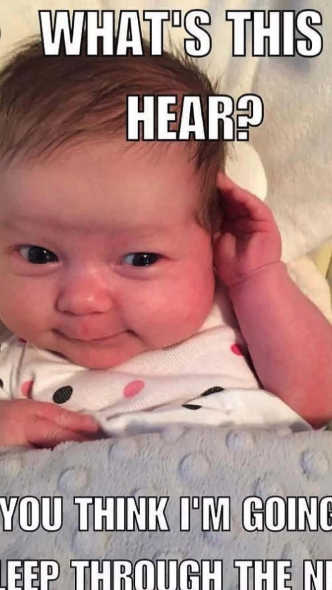 Funny Meme Profile 桌布 壁紙 — 一個眼睛大大、露出得意笑容的嬰兒抓著一隻耳朵，文字問這是什麼？