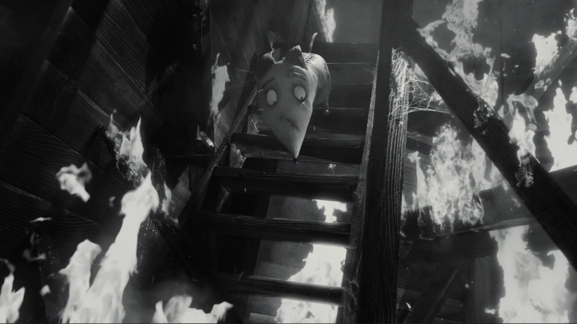 Frankenweenie 桌布 壁紙 — 一個睜大眼睛的鬼影在單色恐怖場景中走下燃燒的木樓梯。