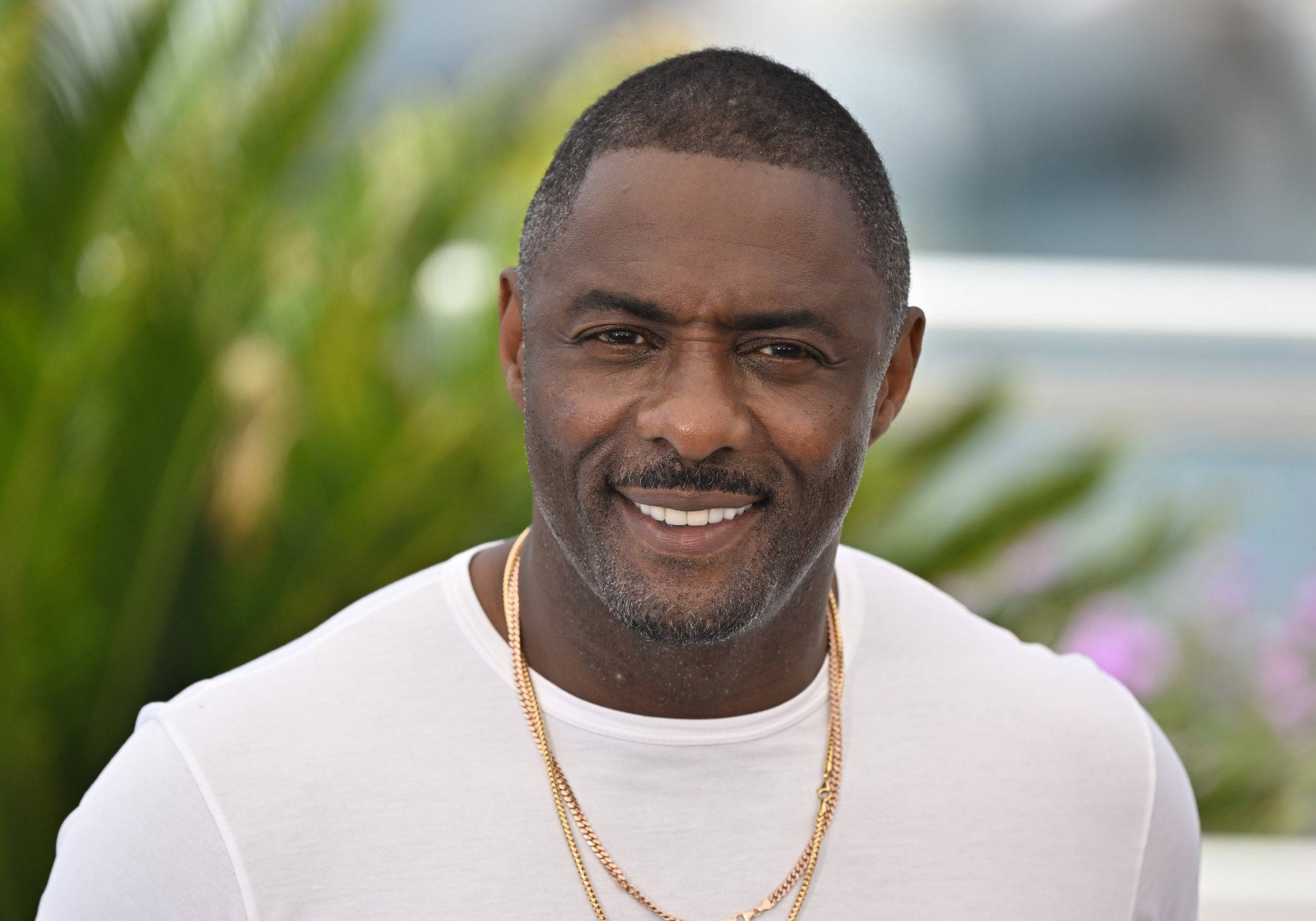 Celebrity 桌布 壁紙 — 一個短髮、戴金鍊的男人微笑著，穿著白色T恤，背景是模糊的綠色樹葉。