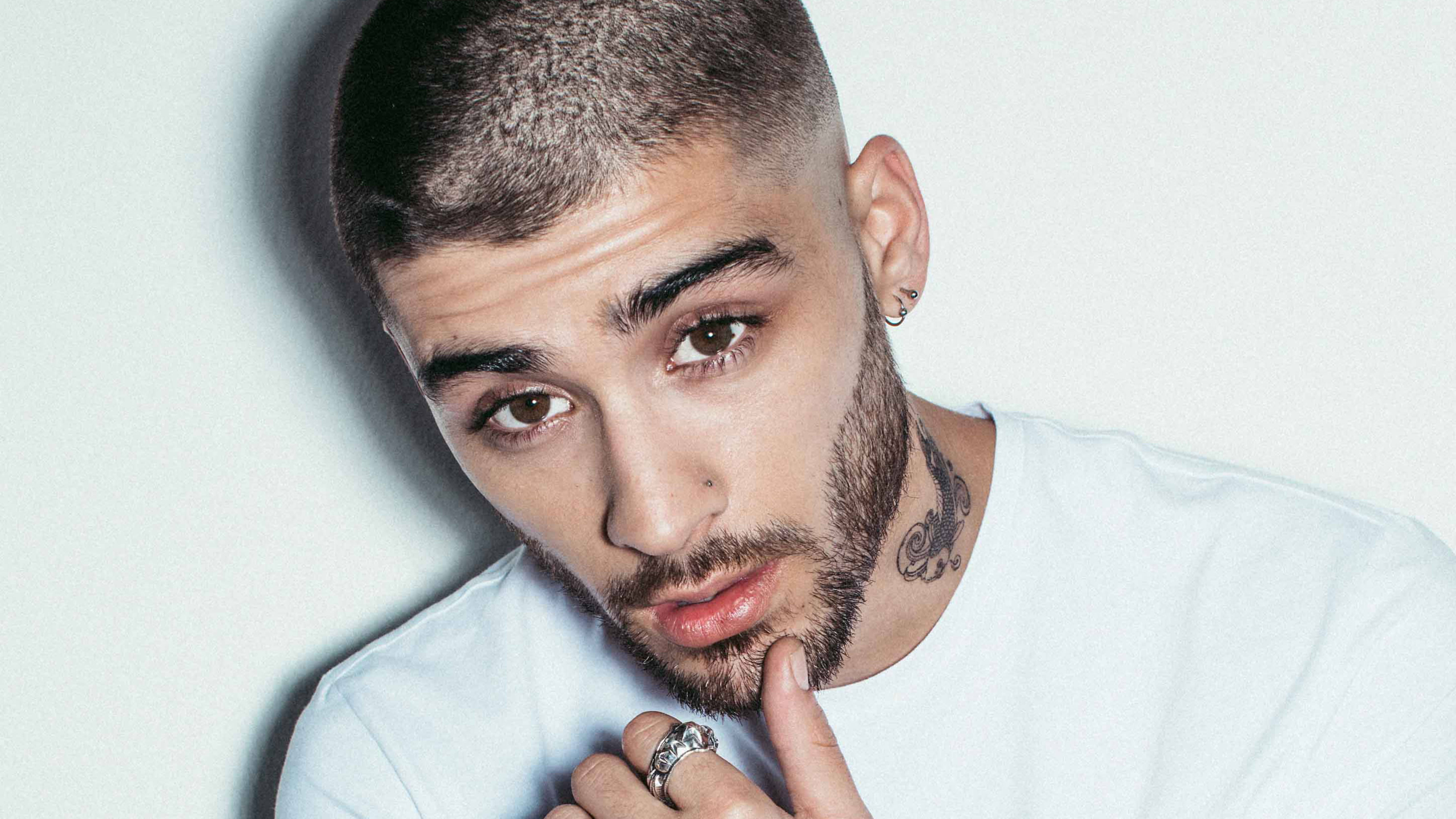 zayn 桌布 壁紙 — 一個短髮鬍鬚男子的特寫肖像，穿著白色T恤，背景為純色淺色。