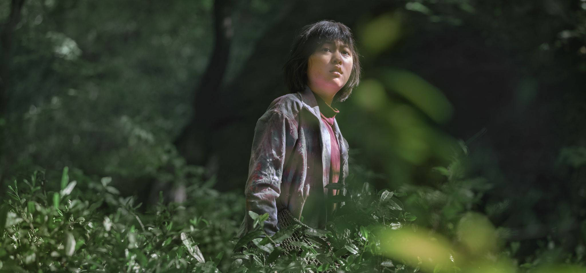 okja 桌布 壁紙 — 一個短黑髮的年輕女孩站在陽光普照的森林中，周圍是茂密的綠色樹葉和斑駁的光線。